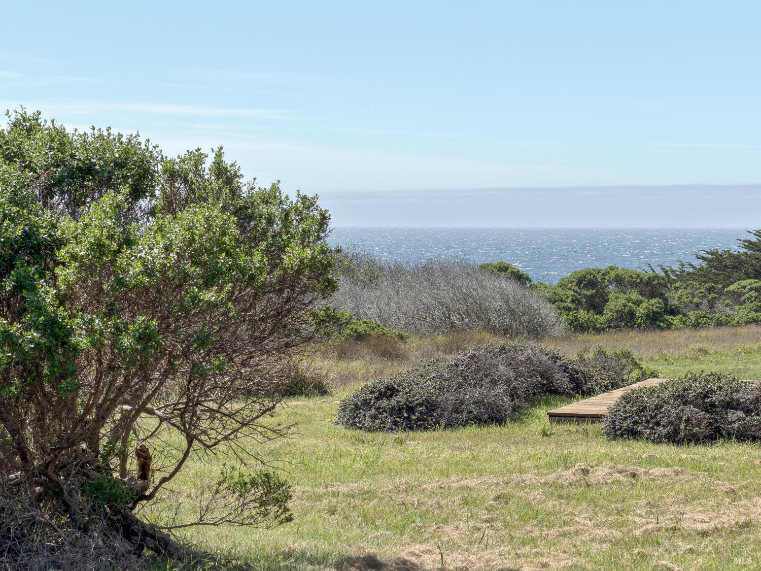 a view of a field with an ocean and trees