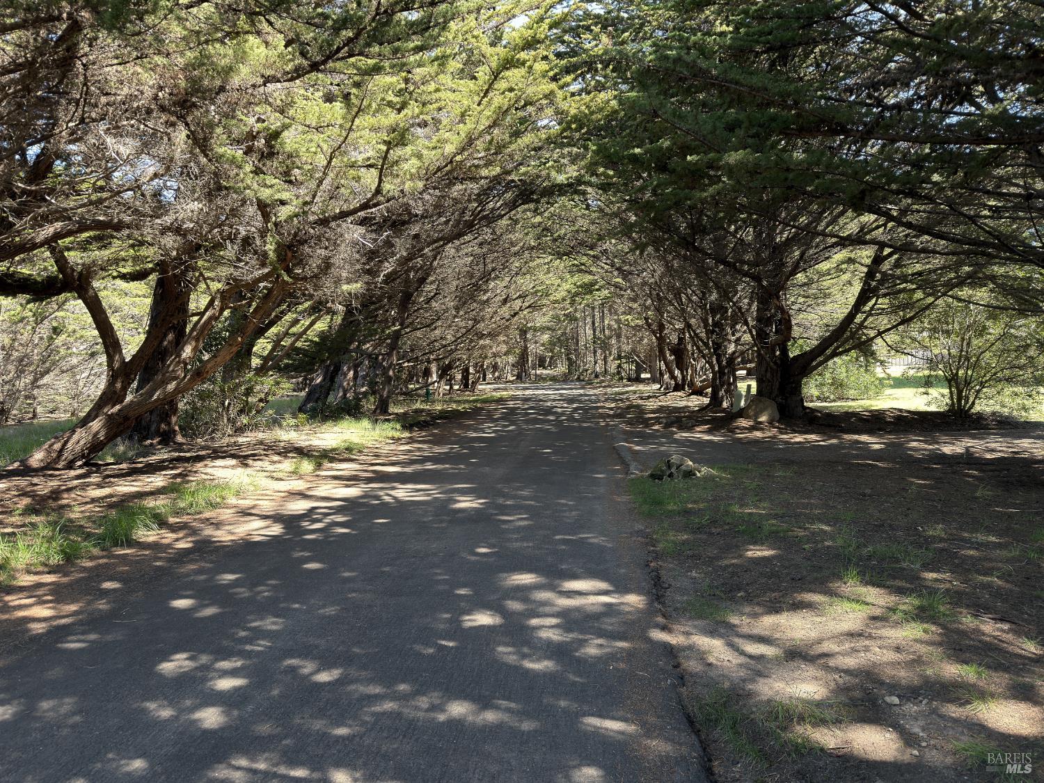 310 Fish Rock The Sea Ranch, CA 95497 - Photo 7 of 10 a view of road and yard
