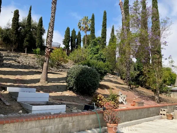 a view of a yard with plants