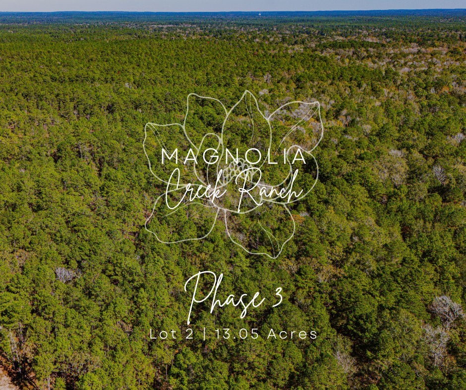 welcome to phase 3 lot 2!