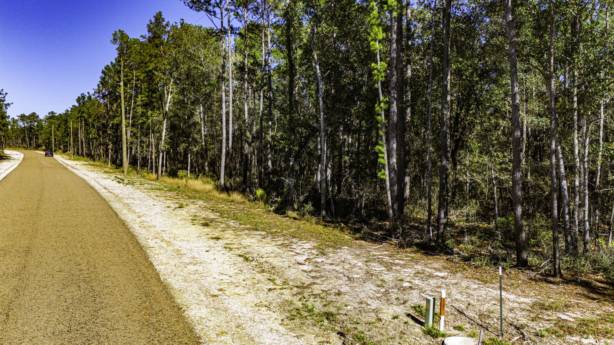 32 King Ranch Road South Onalaska, TX 77360 - Photo 3 of 10