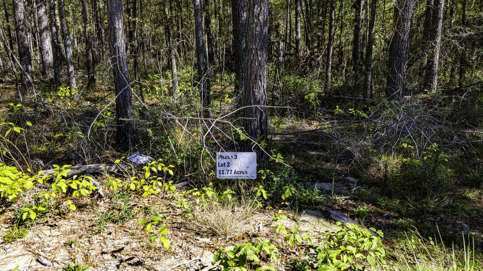 32 King Ranch Road South Onalaska, TX 77360 - Photo 9 of 10