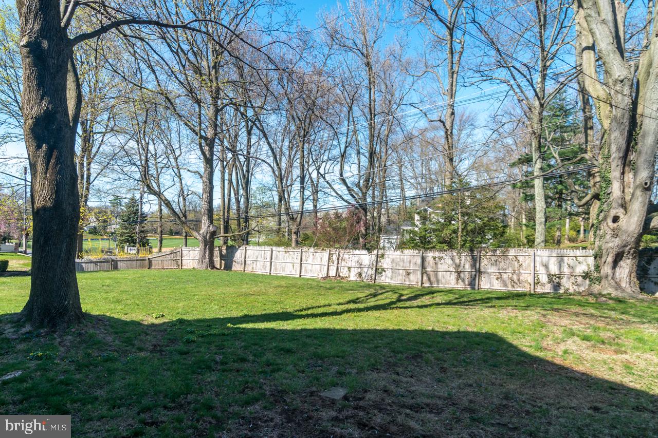 102 Gail Road Devon, PA 19333 - Photo 4 of 26 Side Yard