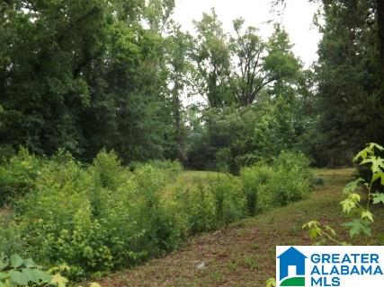 0 Perseverance Lane Odenville, AL 35120 - Photo 7 of 13
