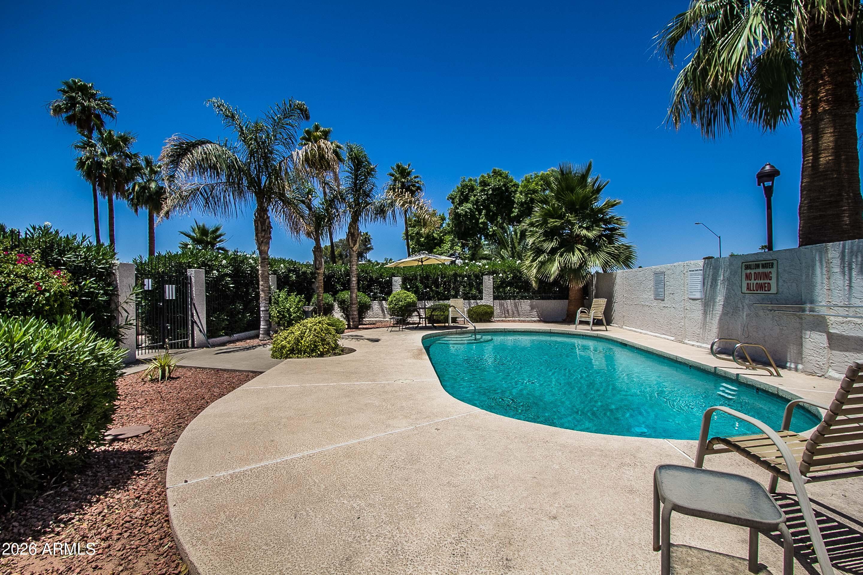 7755 East Thomas Road, Unit 18 Scottsdale, AZ 85251 - Photo 24 of 26 Community pool