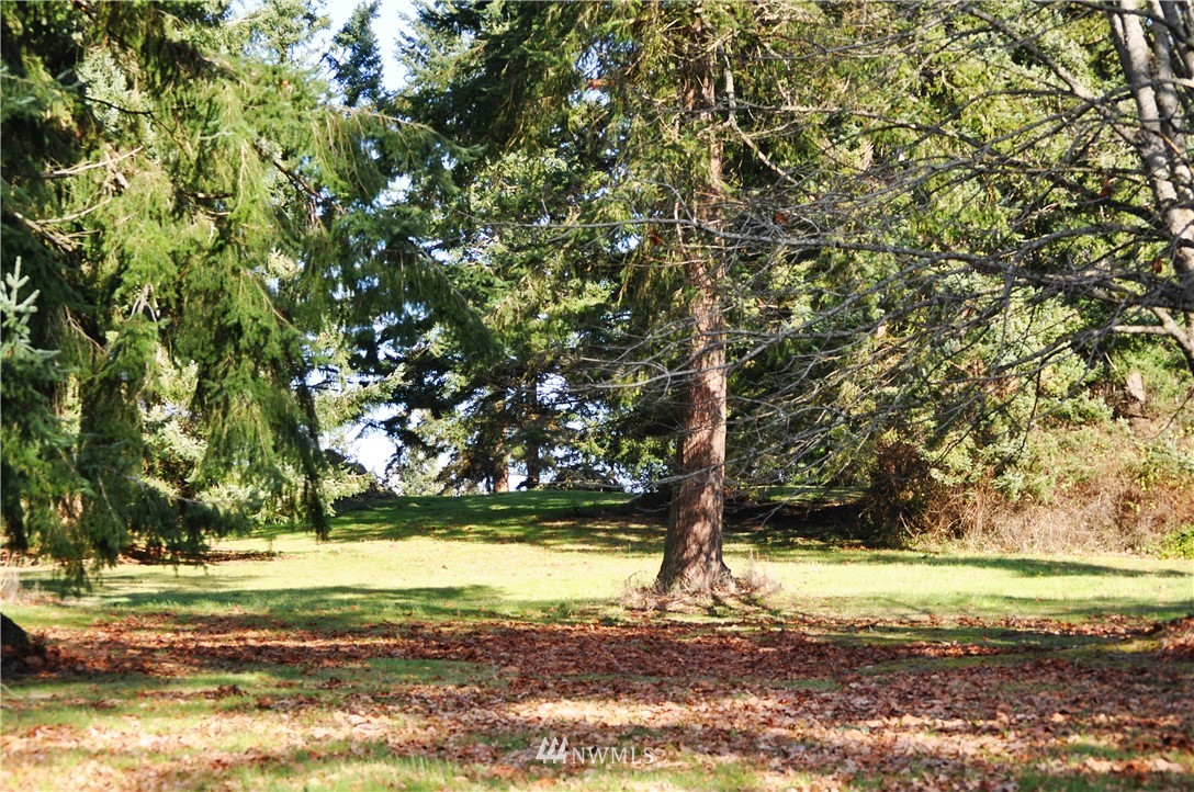7737 Summit View Lane Clinton, WA 98236 - Photo 4 of 13 Gallery Image 4