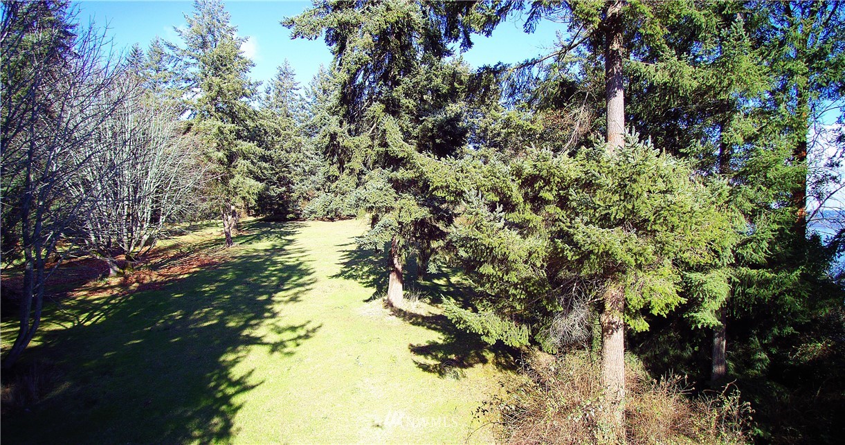 7737 Summit View Lane Clinton, WA 98236 - Photo 9 of 13 Gallery Image 9