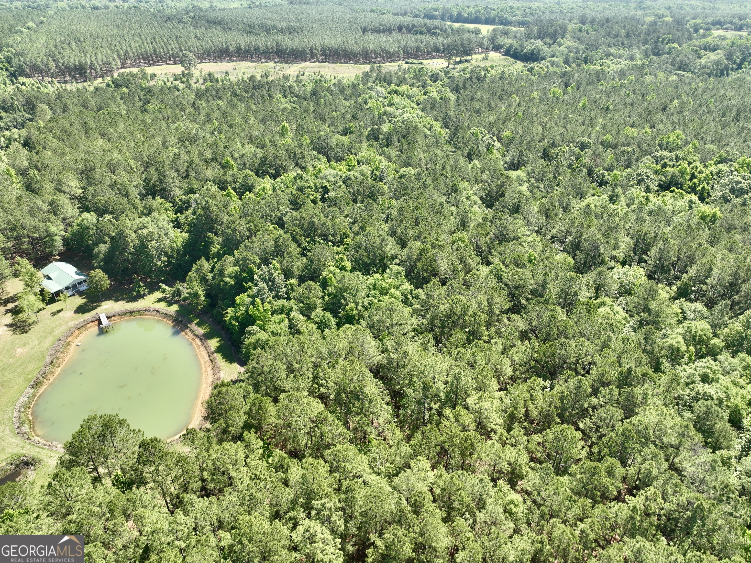 769 Mt Olive Church Road Eastman, GA 31023 - Photo 23 of 68