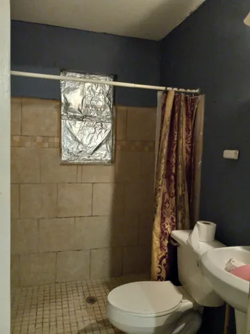 a white toilet sitting next to a shower curtain