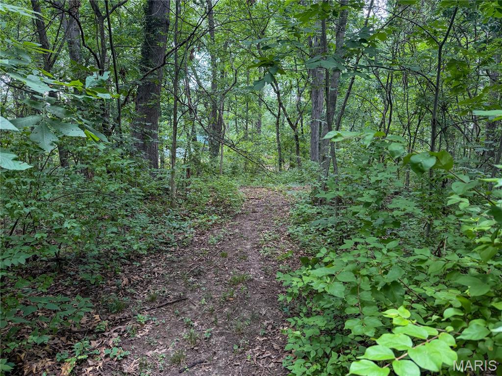 0 South Panther Creek Road Mount Olive, IL 62069 - Photo 3 of 3