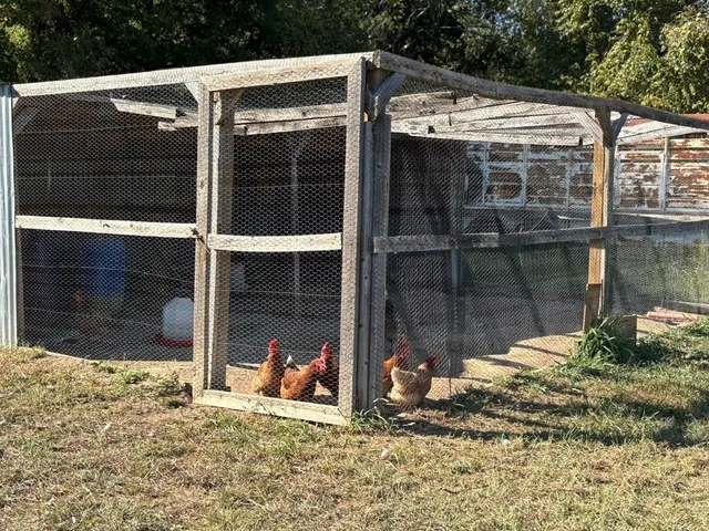 a view of a bird house