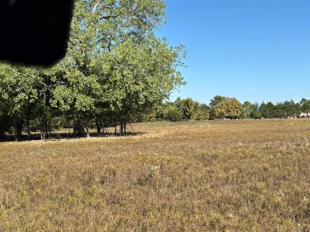 a view of a yard with a tree