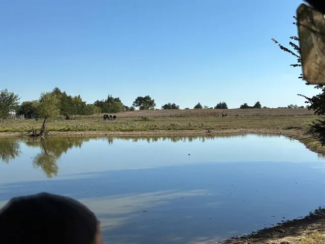 a view of a lake with a beach