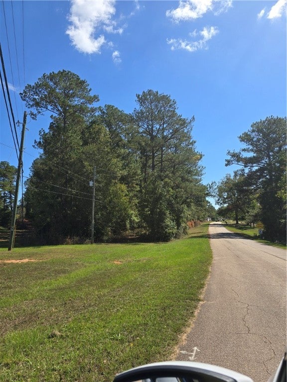 0 Newton Road Valley, AL 36854 - Photo 3 of 4 Gallery Image 3
