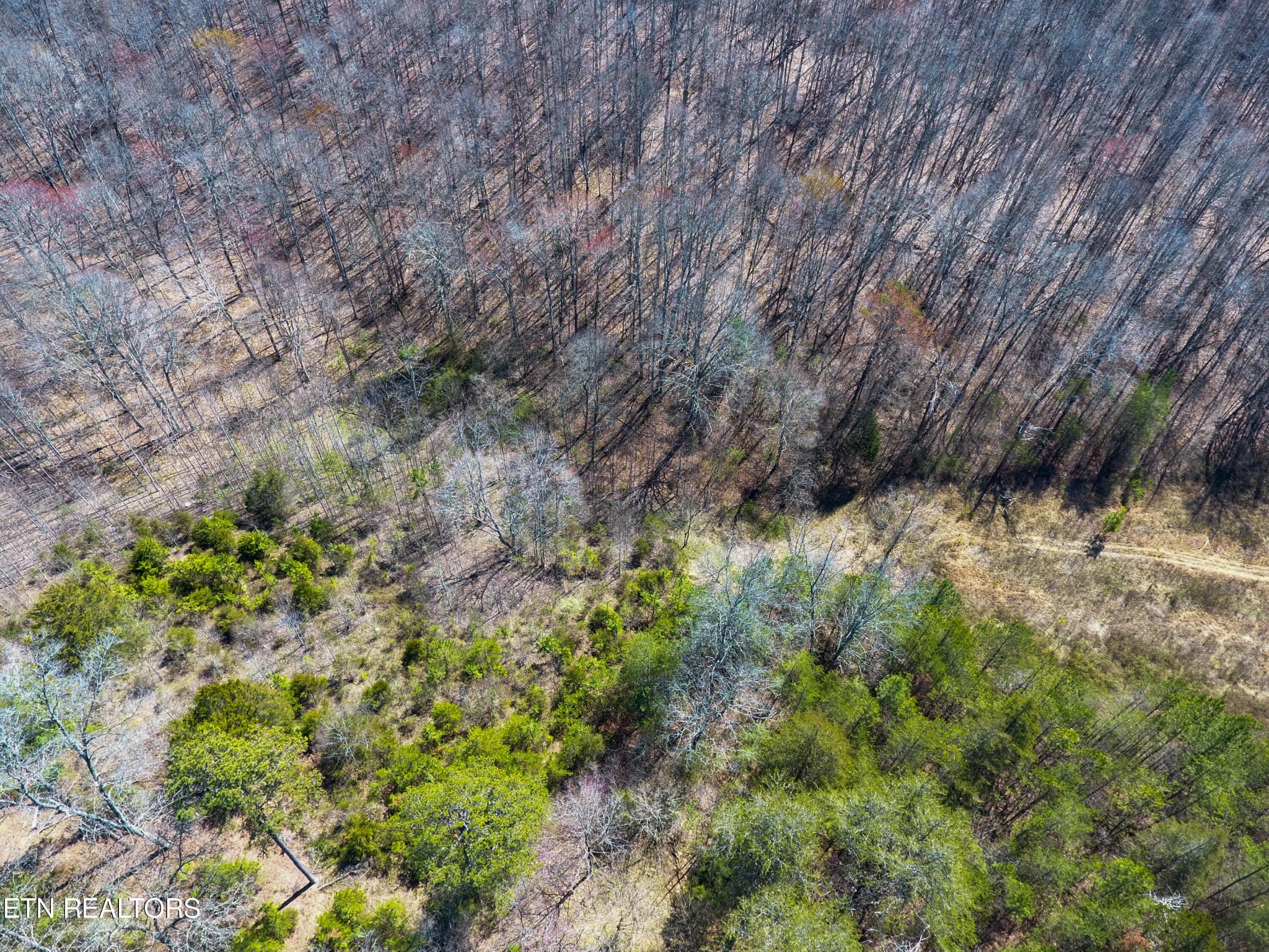 1 Mill Pond Hollow Road Maynardville, TN 37807 - Photo 9 of 14 Gallery Image 9