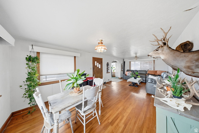 12341 South Redwood Road Riverton, UT 84065 - Photo 12 of 19