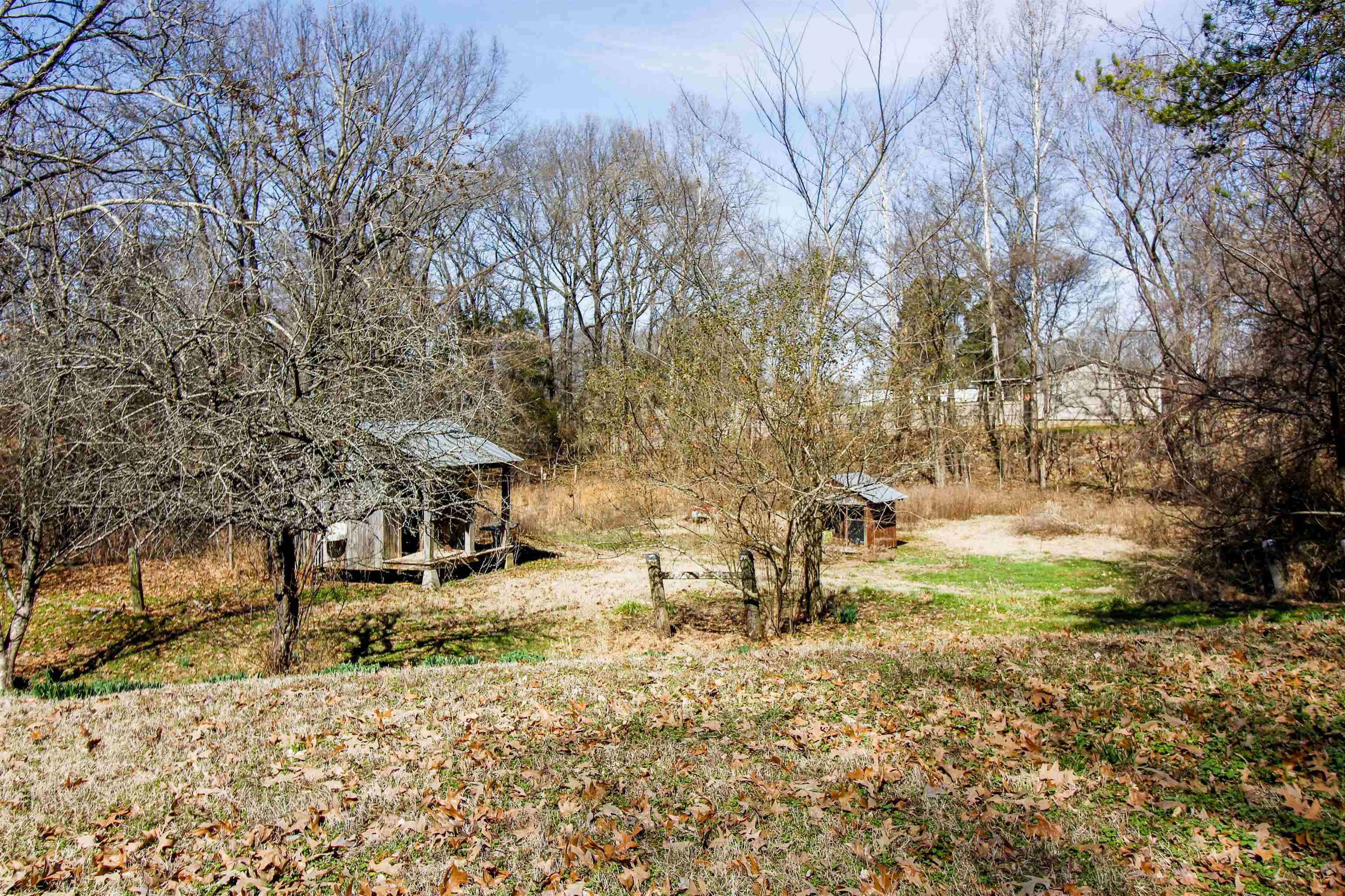 143 Marys Chapel Road Ripley, TN 38063 - Photo 21 of 23 View of yard and outbuildings