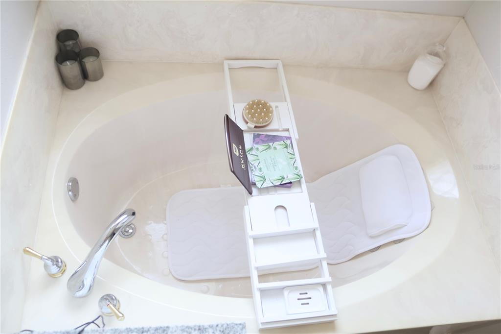 3850 Beacon Ridge Way Clermont, FL 34711 - Photo 30 of 41 a bathroom with a bathtub