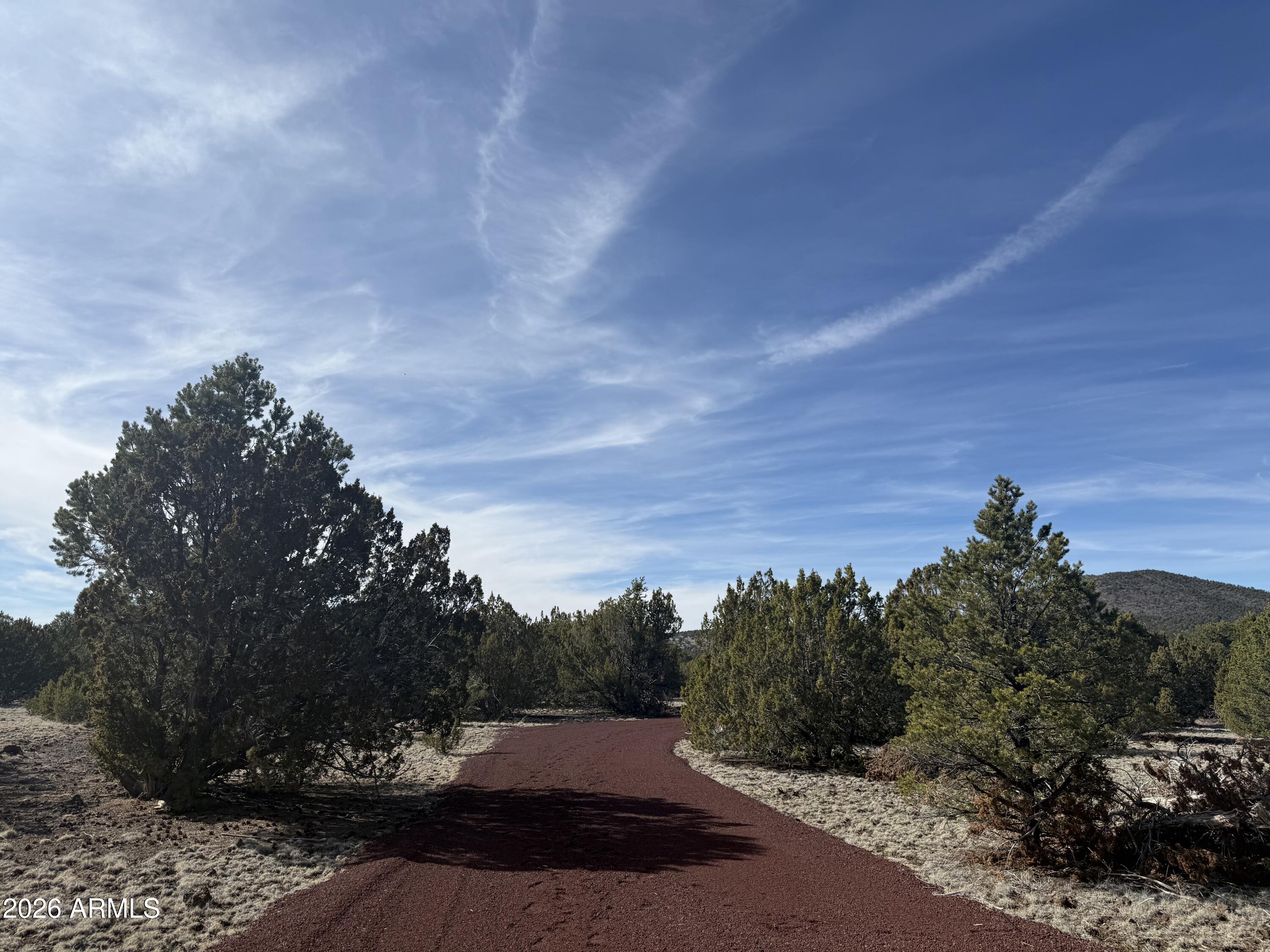 a view of a yard with wooden fence
