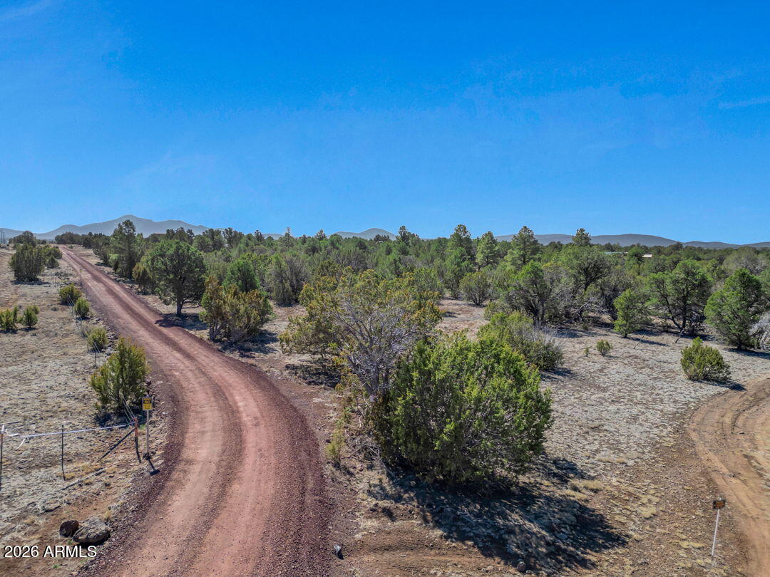 5892 North Santa Fe Road, Unit 99 Williams, AZ 86046 - Photo 19 of 29 a view of a road with a yard