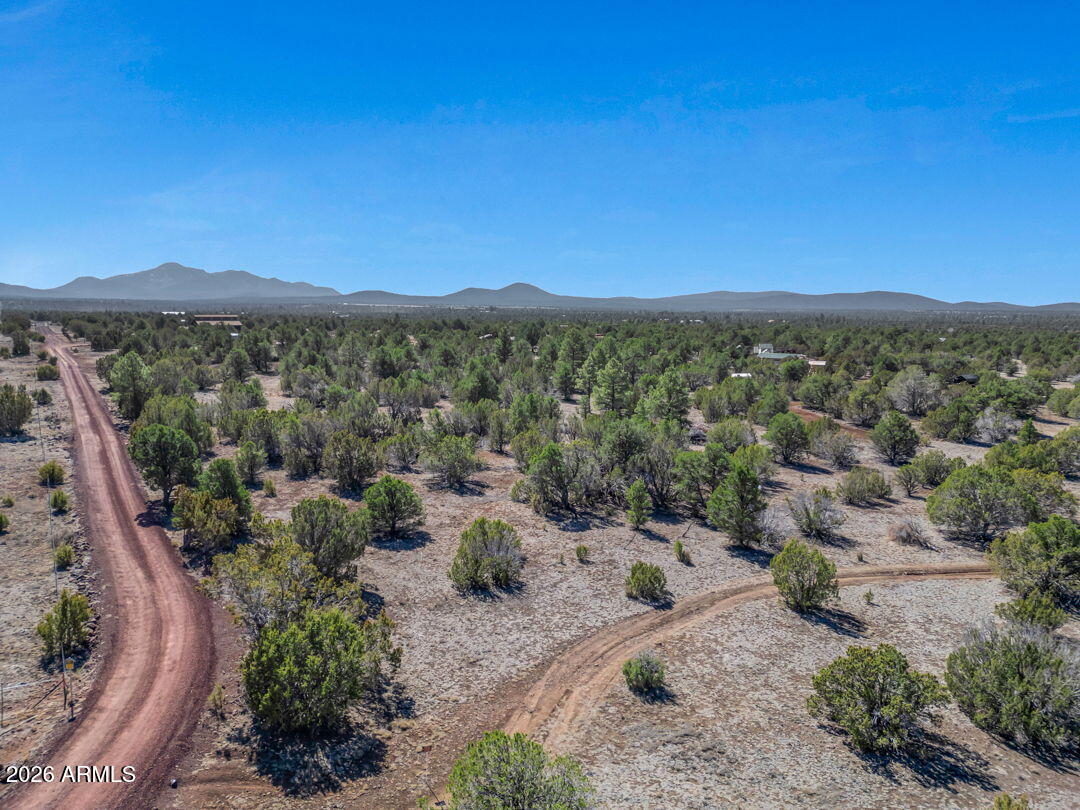 5892 North Santa Fe Road, Unit 99 Williams, AZ 86046 - Photo 20 of 29 a view of a dry yard with mountains in the background