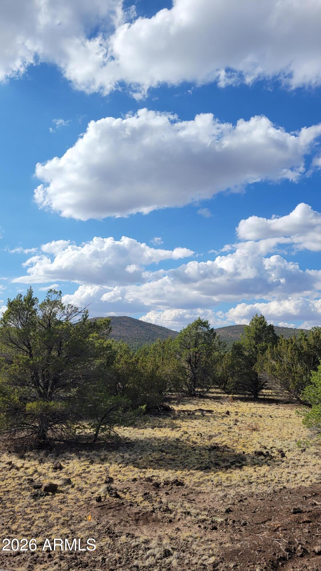5892 North Santa Fe Road, Unit 99 Williams, AZ 86046 - Photo 29 of 29 a view of a dry yard with wooden fence