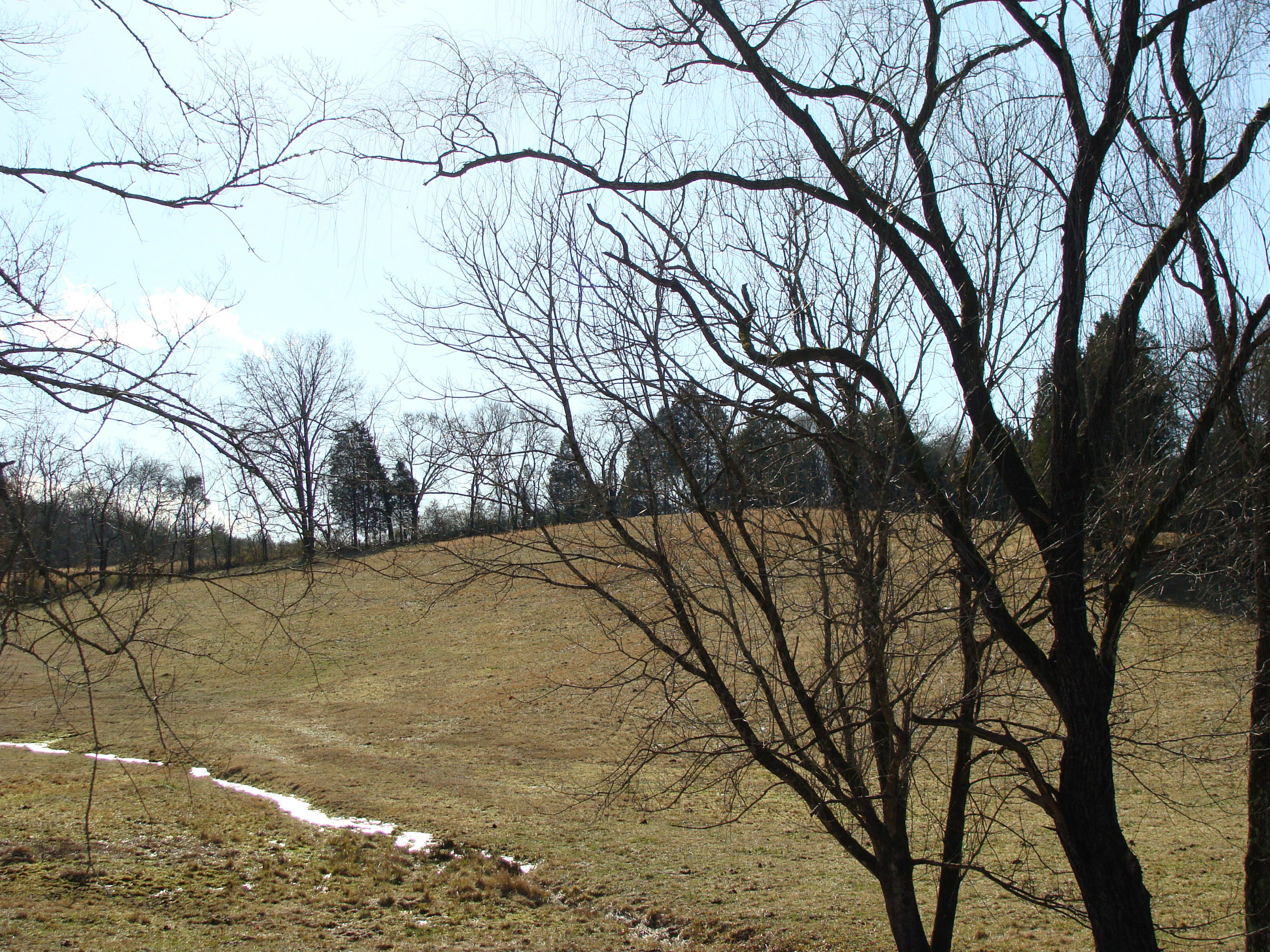 172 Hackler Gap Road Kingston, TN 37763 - Photo 1 of 5 DSC02060