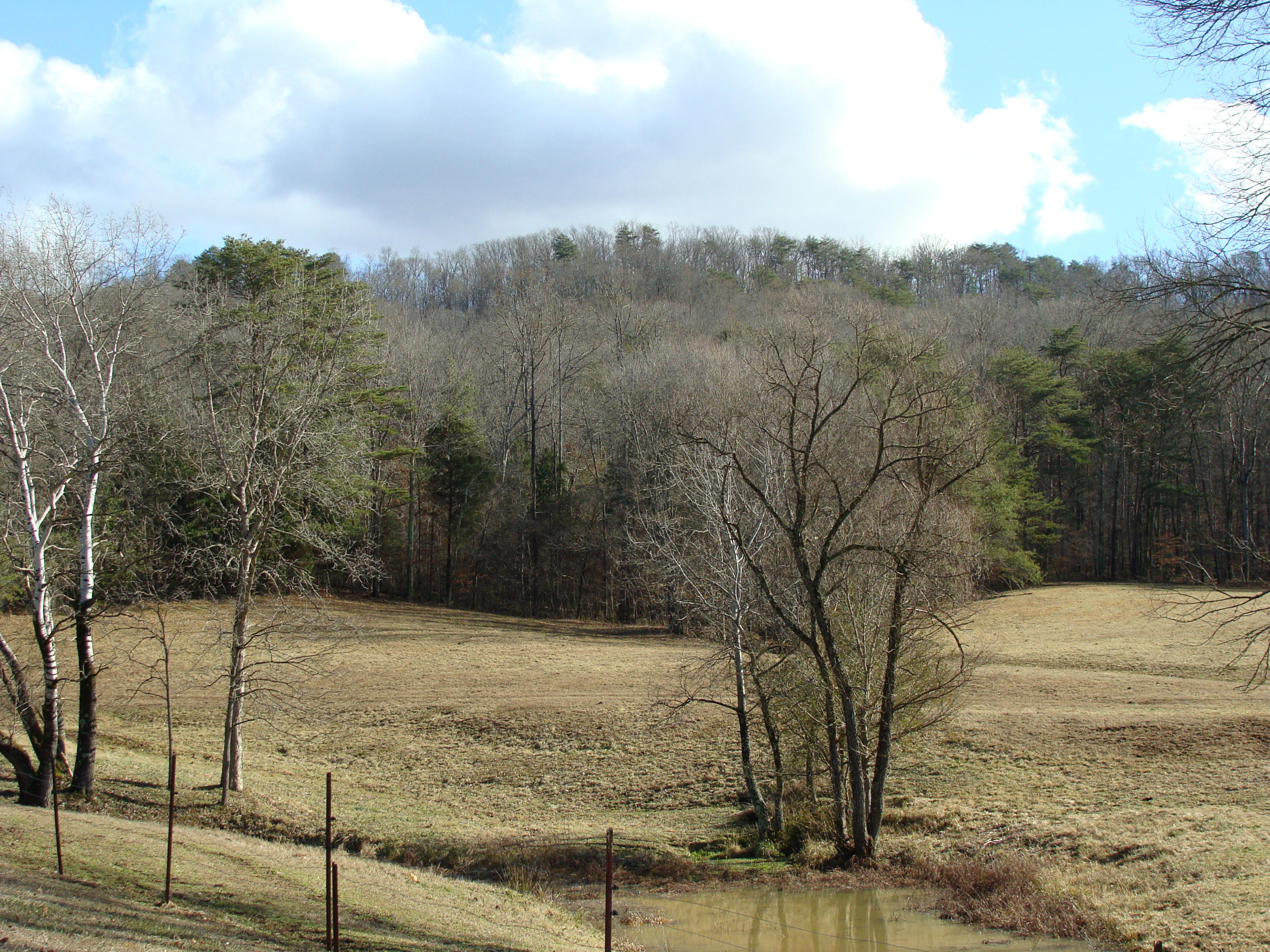 172 Hackler Gap Road Kingston, TN 37763 - Photo 2 of 5 DSC02059