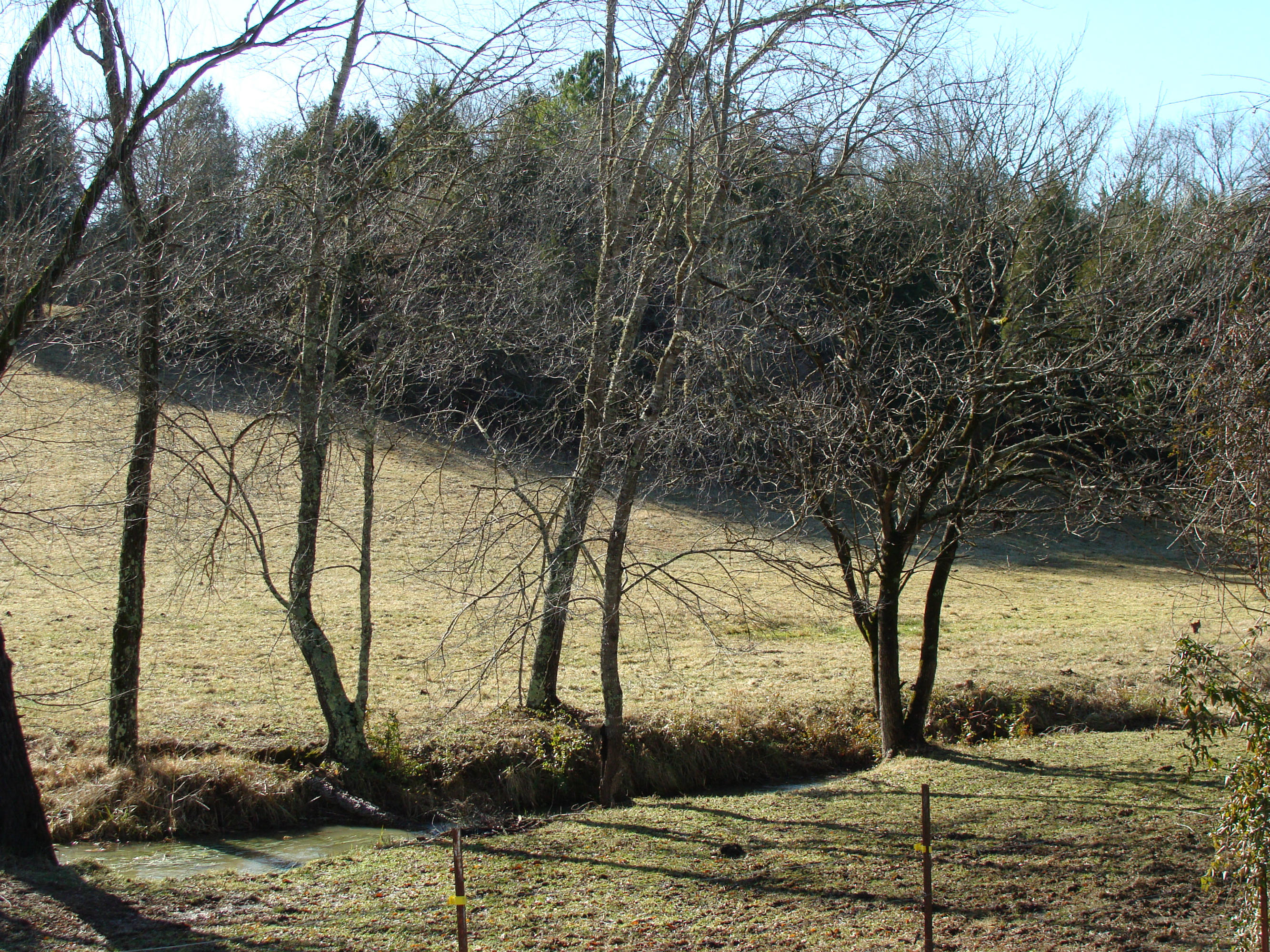 172 Hackler Gap Road Kingston, TN 37763 - Photo 3 of 5 DSC02061