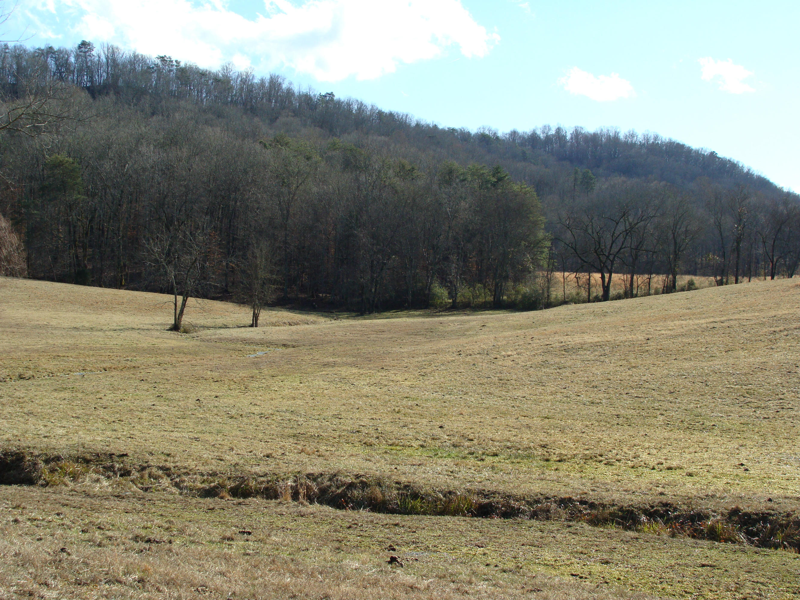 172 Hackler Gap Road Kingston, TN 37763 - Photo 4 of 5 DSC02063