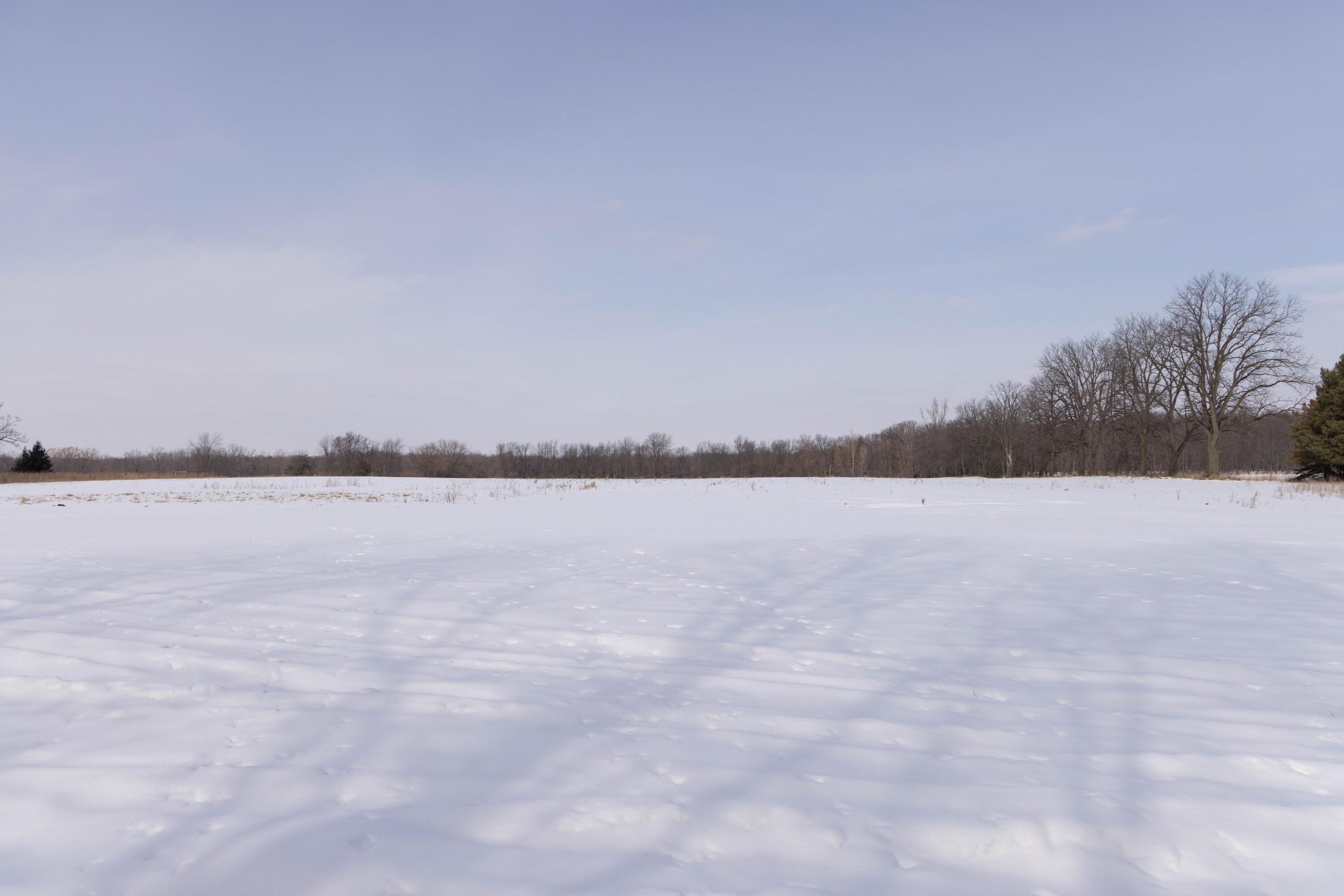 V/l West Allen Road Fowlerville, MI 48836 - Photo 1 of 56 1A