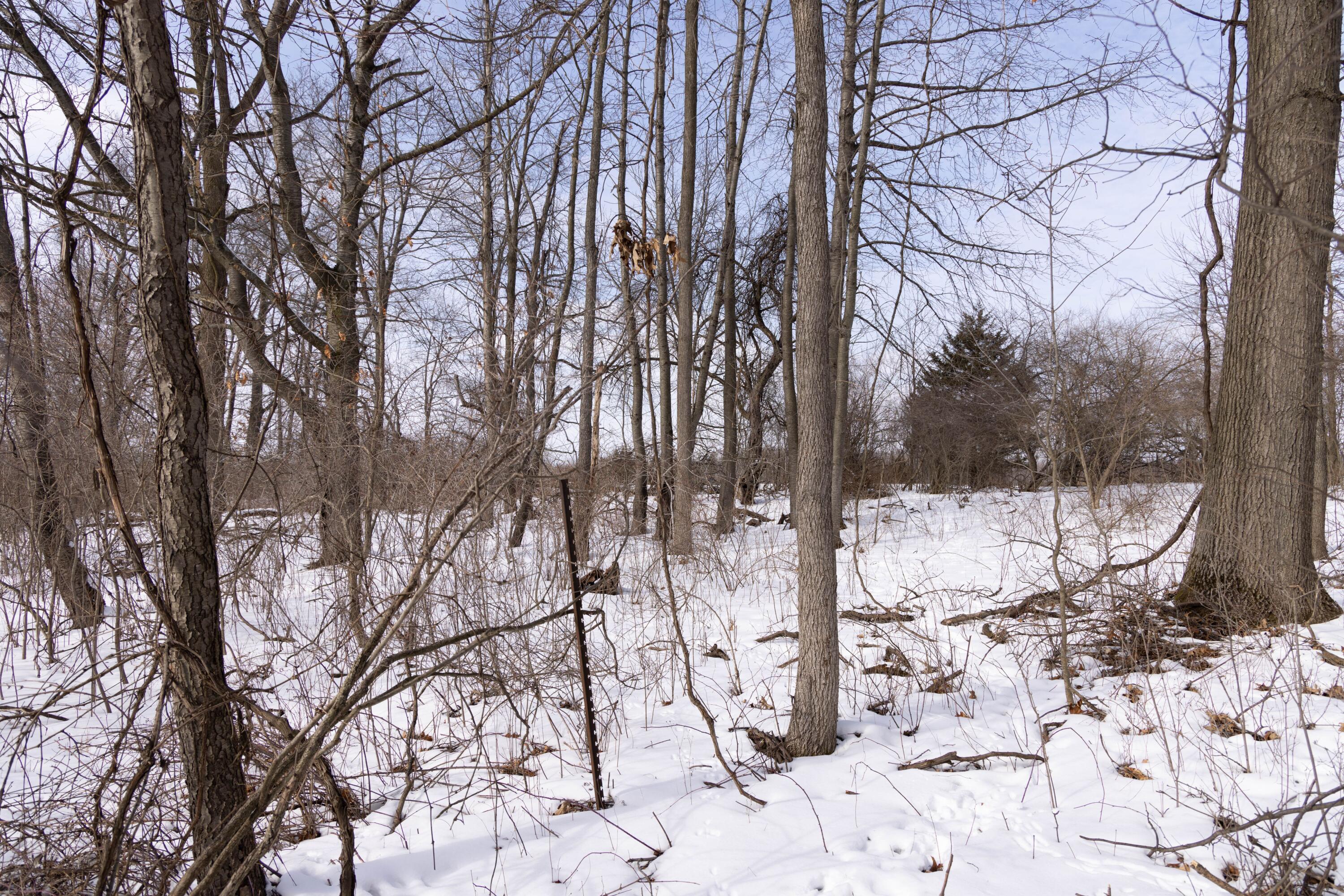 V/l West Allen Road Fowlerville, MI 48836 - Photo 16 of 56 14