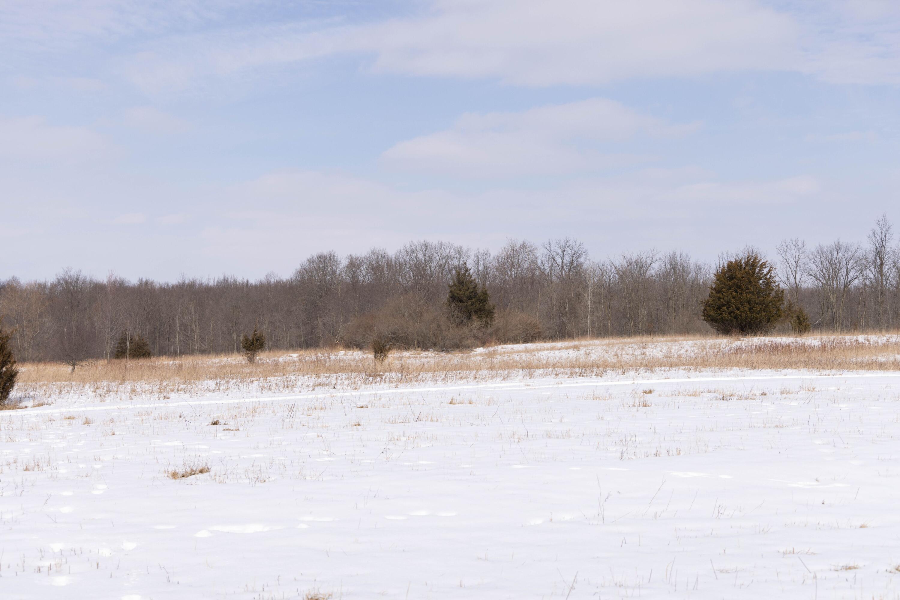 V/l West Allen Road Fowlerville, MI 48836 - Photo 18 of 56 16