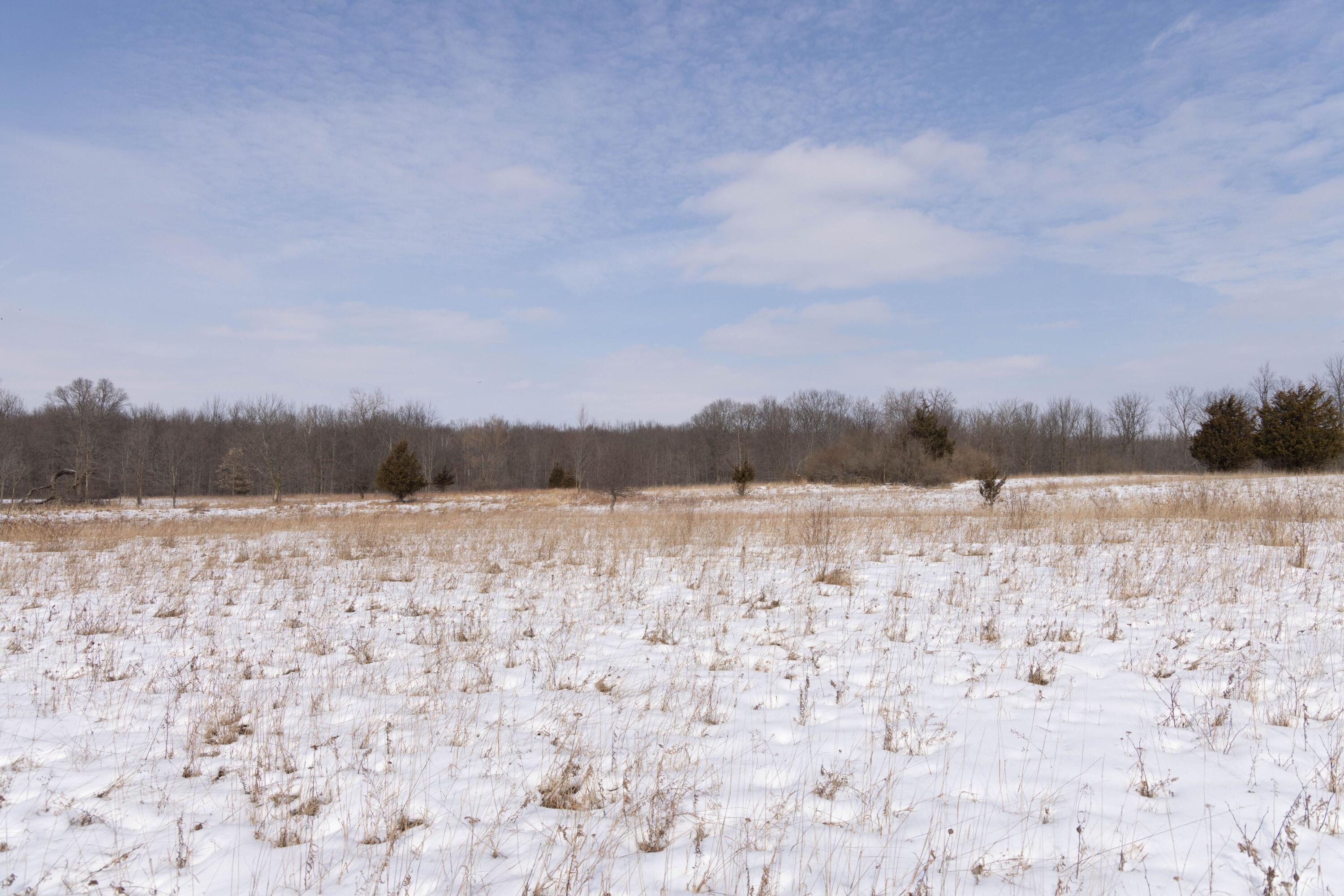 V/l West Allen Road Fowlerville, MI 48836 - Photo 19 of 56 17