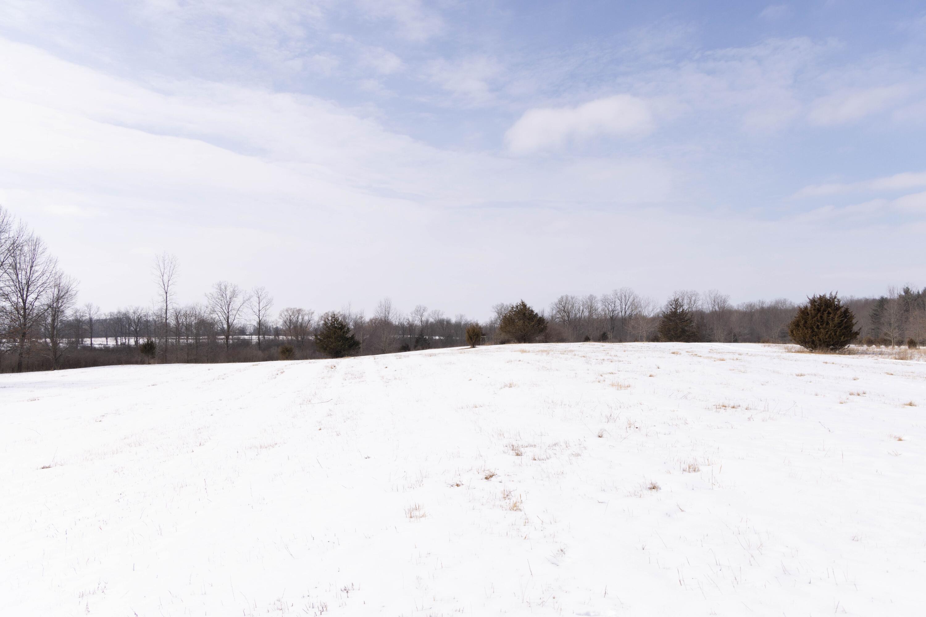 V/l West Allen Road Fowlerville, MI 48836 - Photo 20 of 56 18