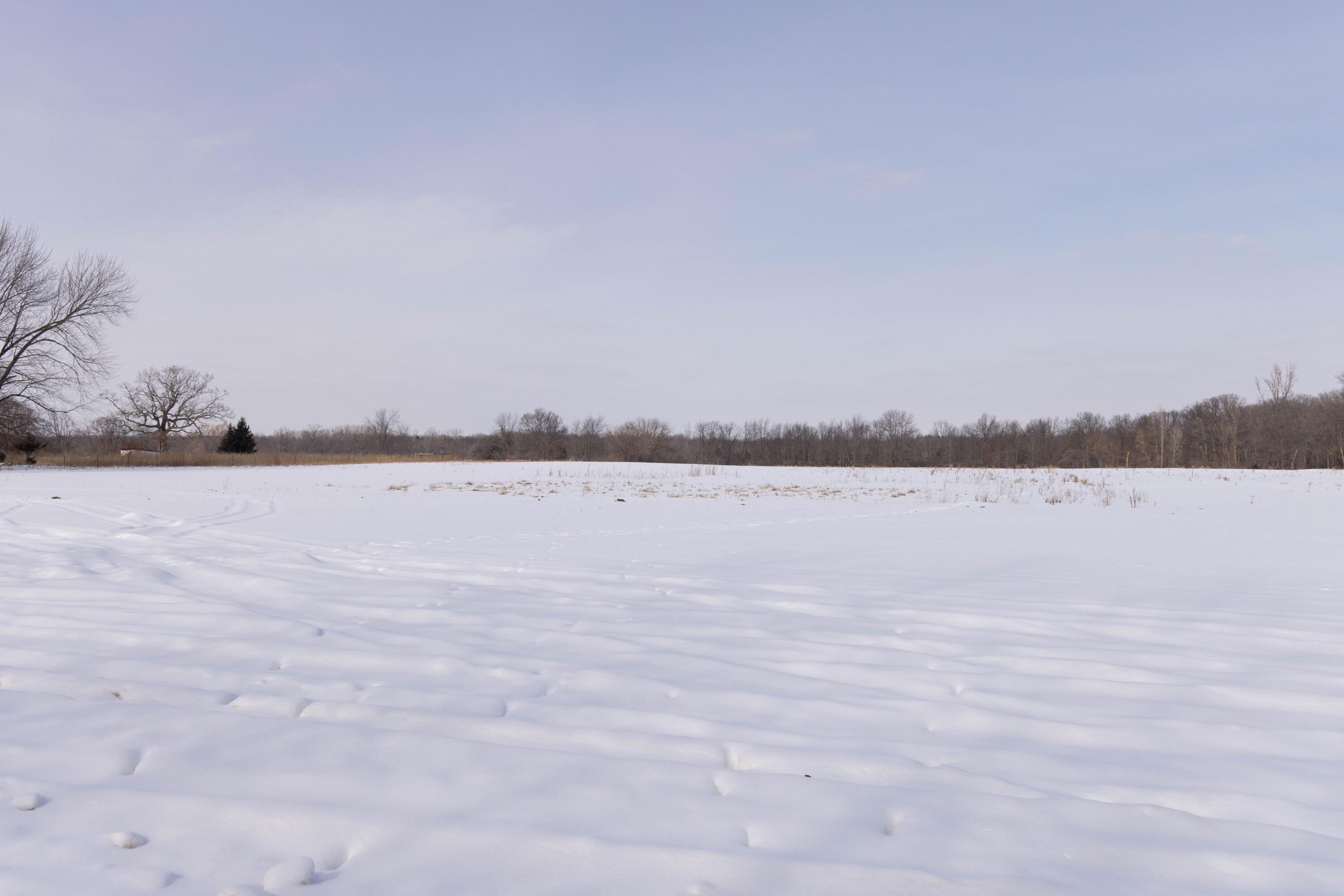 V/l West Allen Road Fowlerville, MI 48836 - Photo 2 of 56 1B