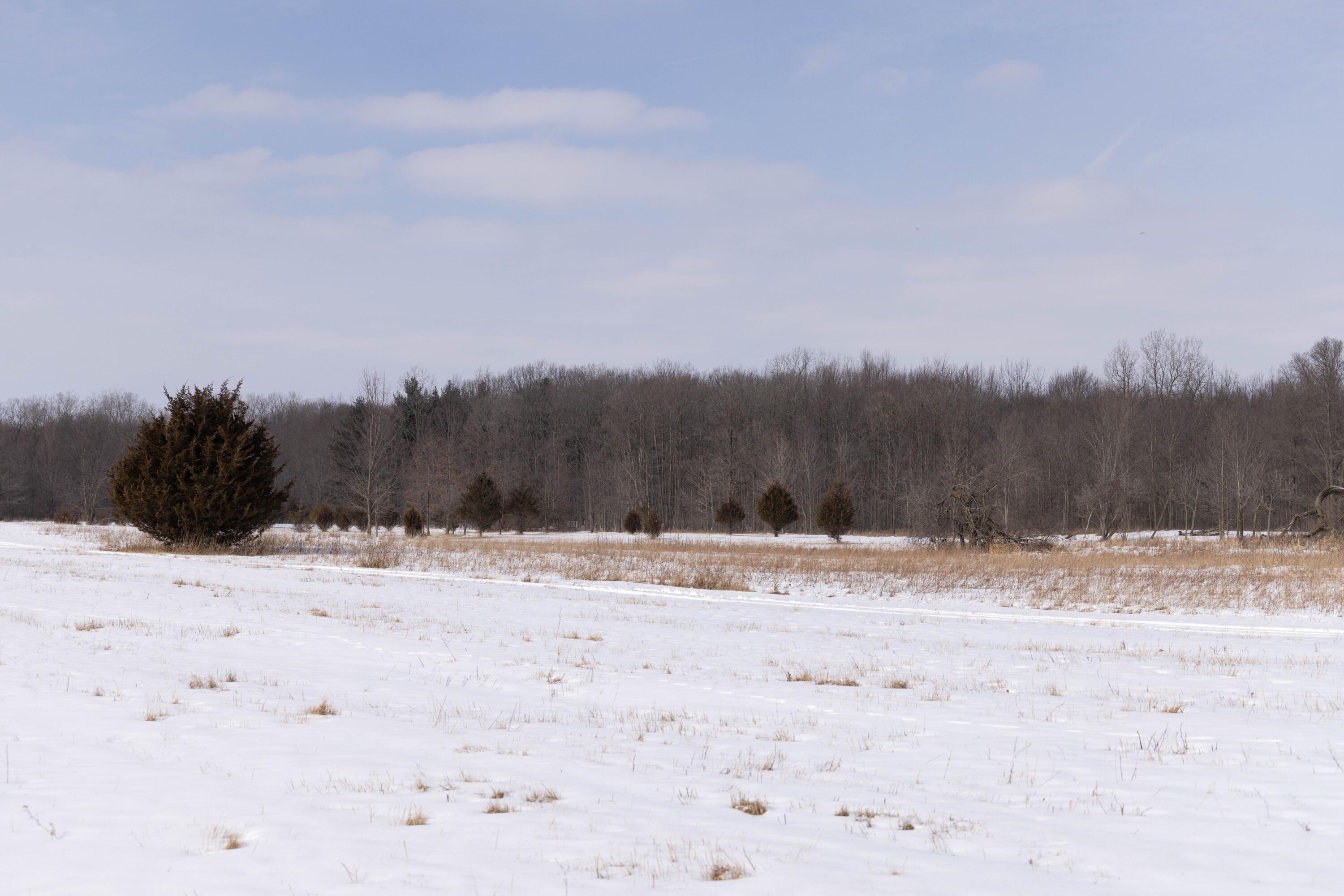 V/l West Allen Road Fowlerville, MI 48836 - Photo 21 of 56 19