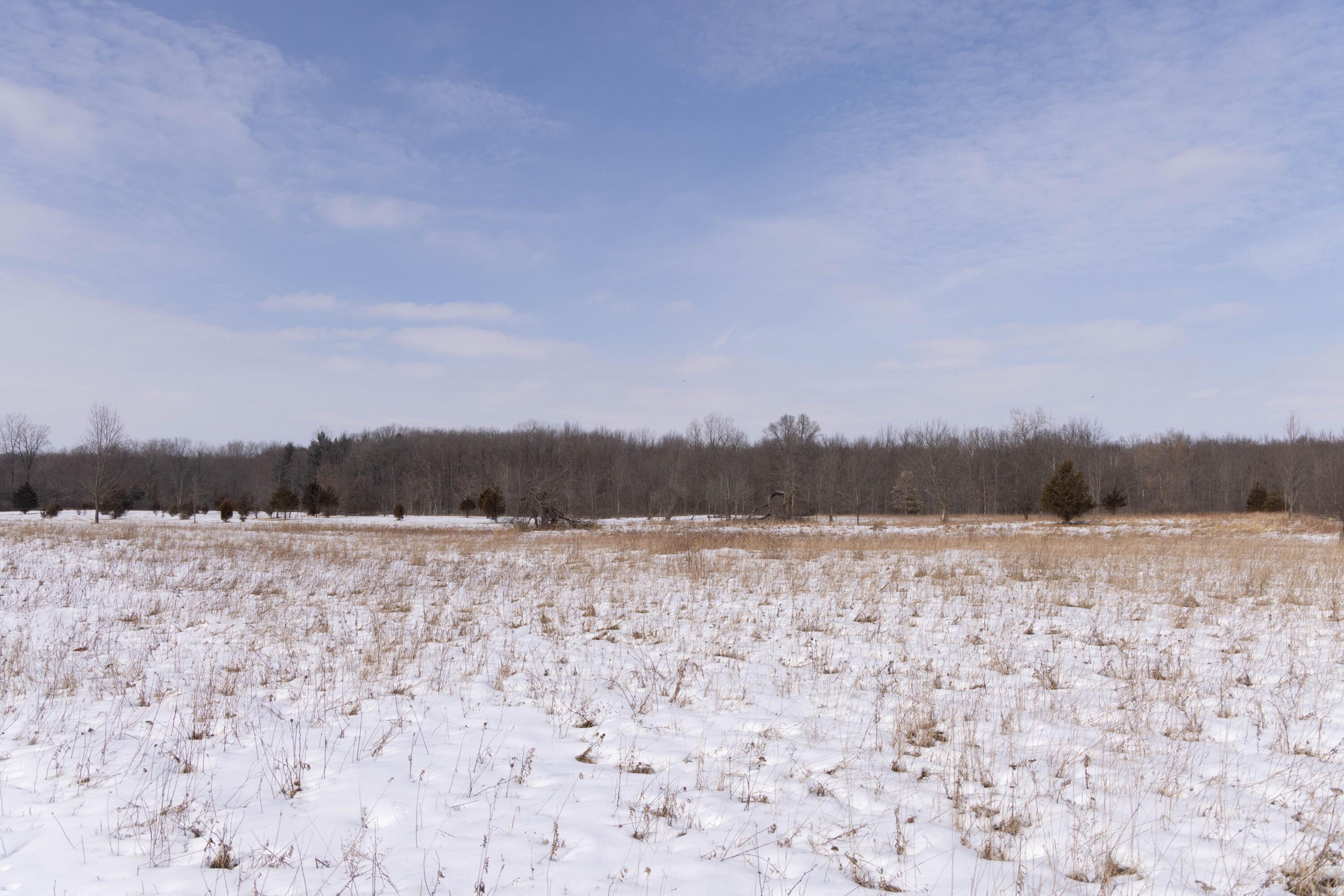 V/l West Allen Road Fowlerville, MI 48836 - Photo 22 of 56 20