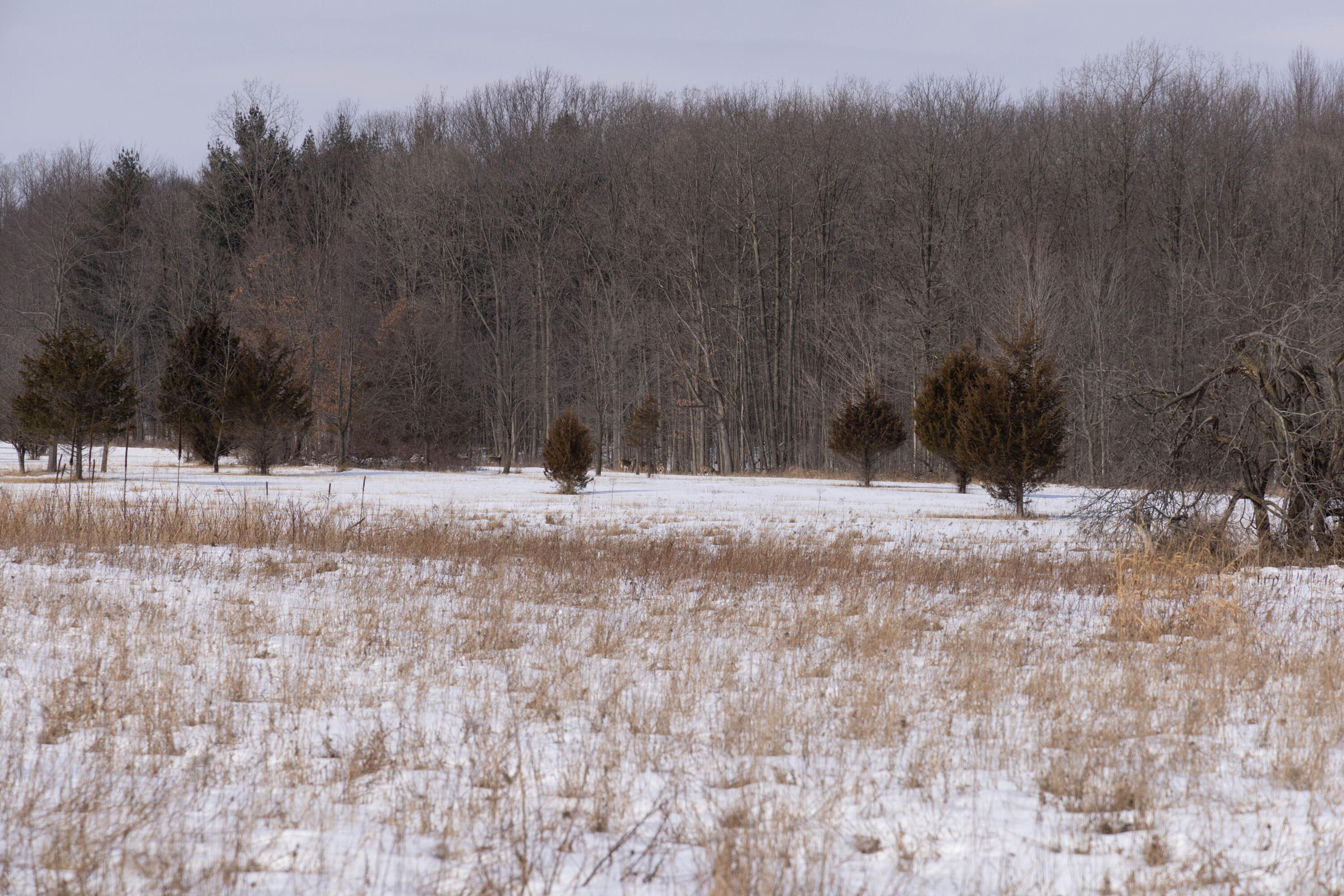 V/l West Allen Road Fowlerville, MI 48836 - Photo 23 of 56 21