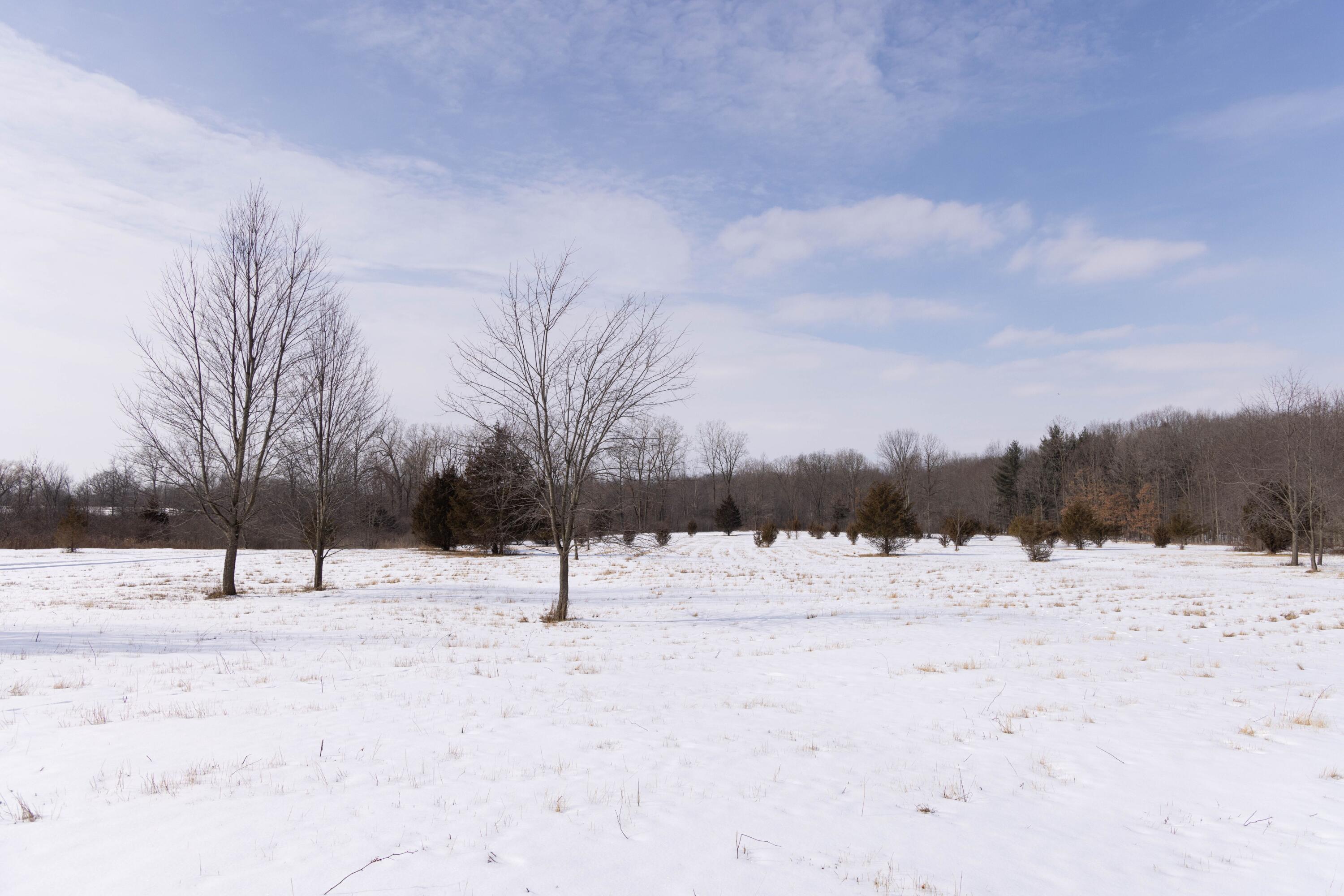 V/l West Allen Road Fowlerville, MI 48836 - Photo 24 of 56 22