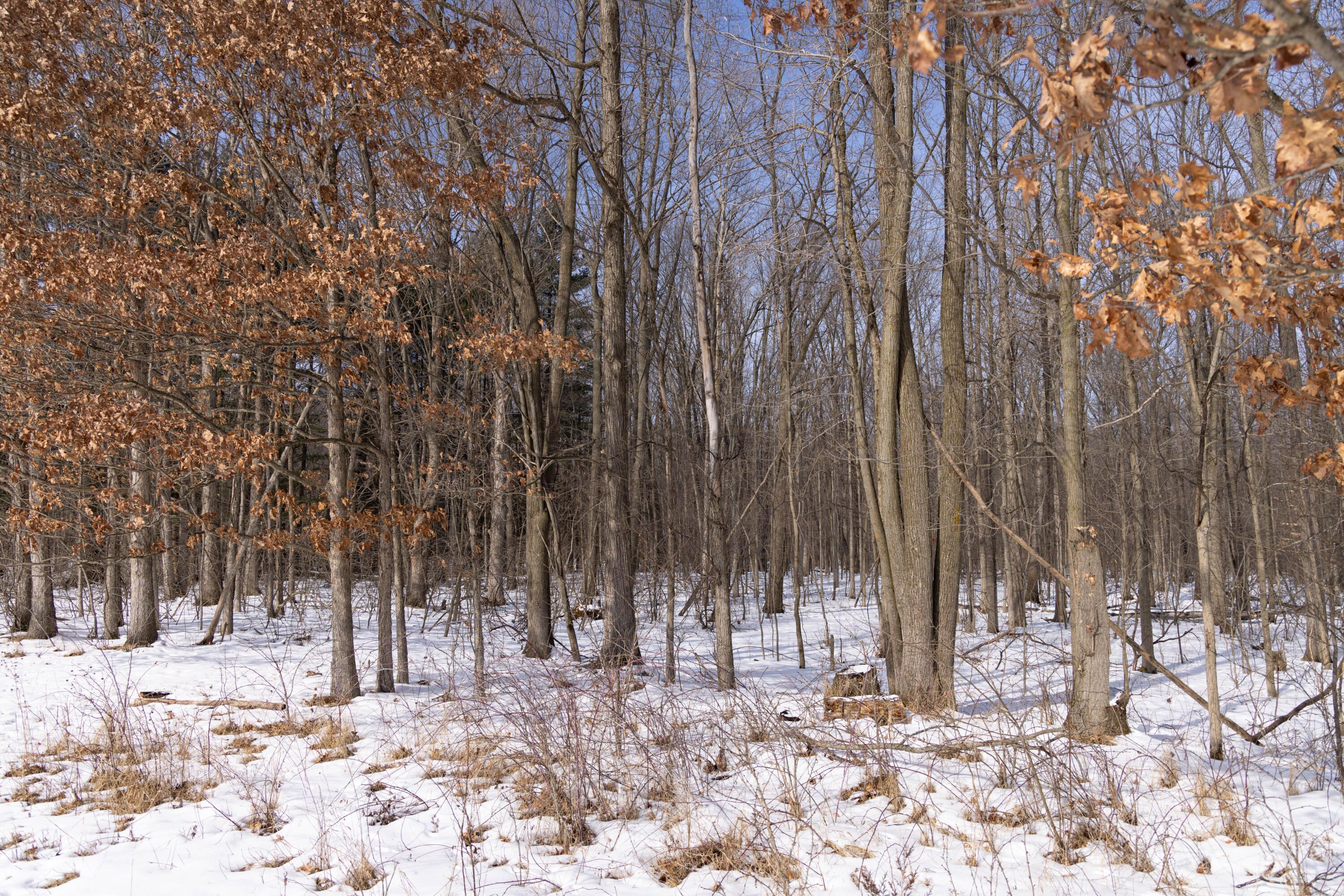V/l West Allen Road Fowlerville, MI 48836 - Photo 26 of 56 24