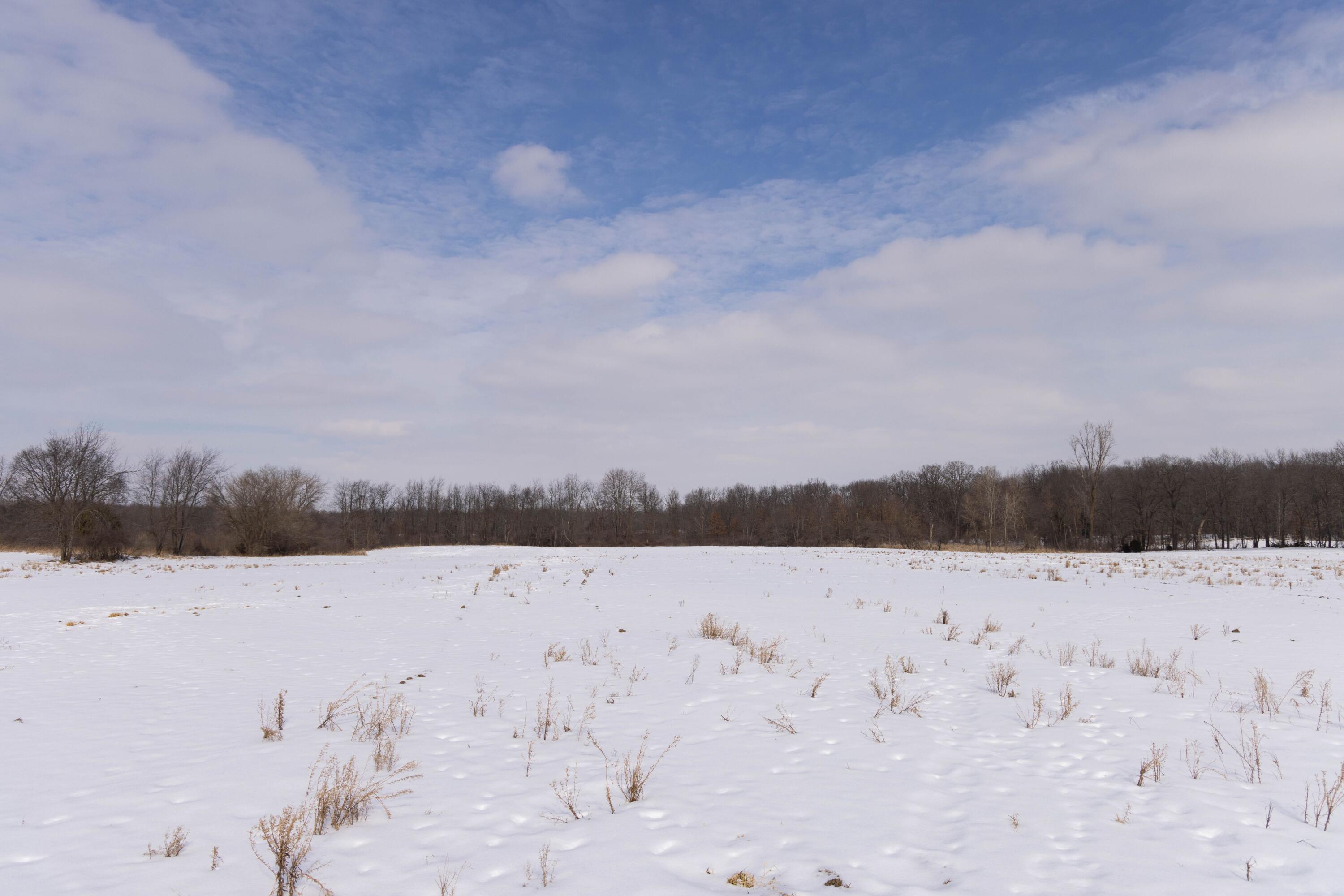 V/l West Allen Road Fowlerville, MI 48836 - Photo 3 of 56 1C