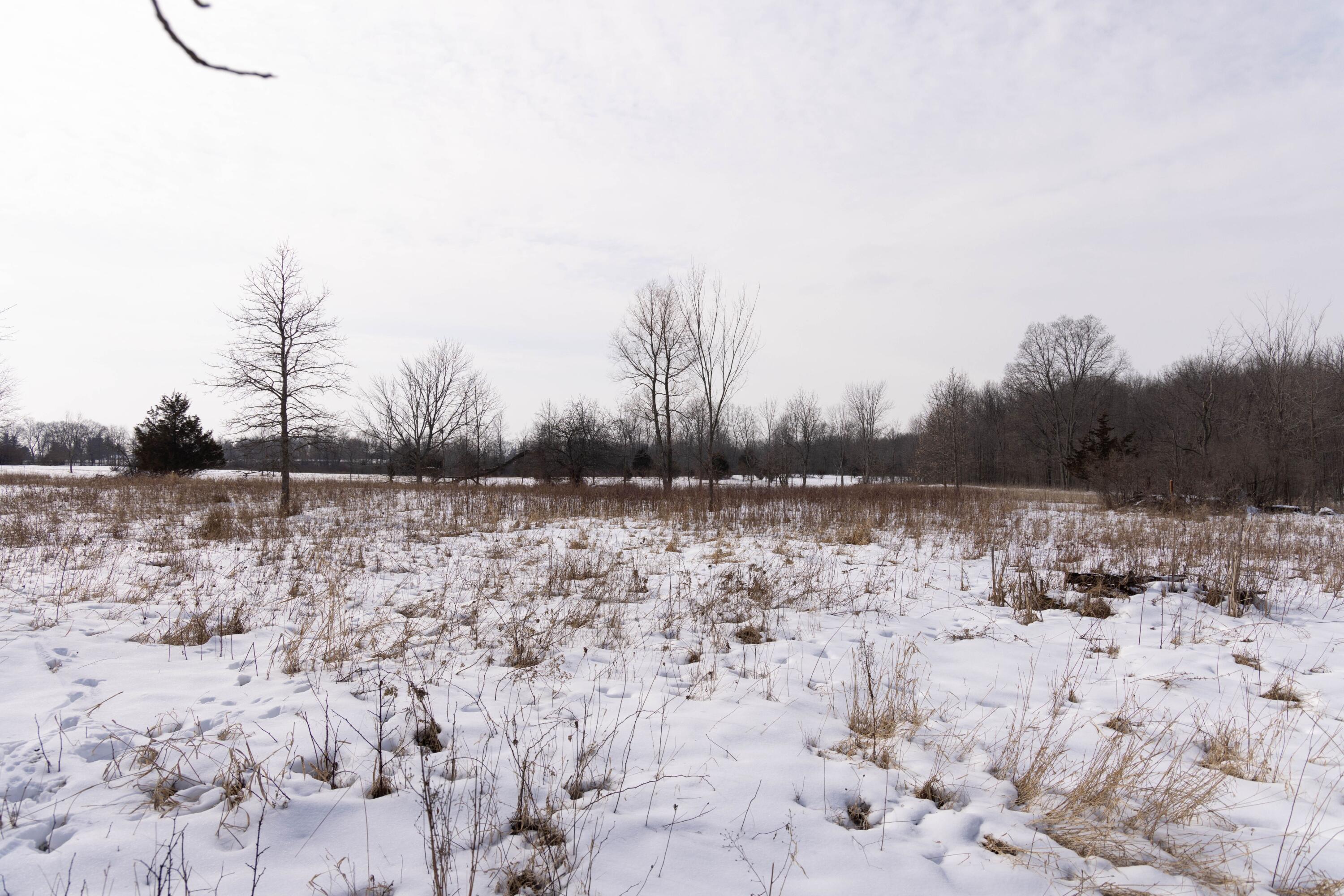 V/l West Allen Road Fowlerville, MI 48836 - Photo 38 of 56 36