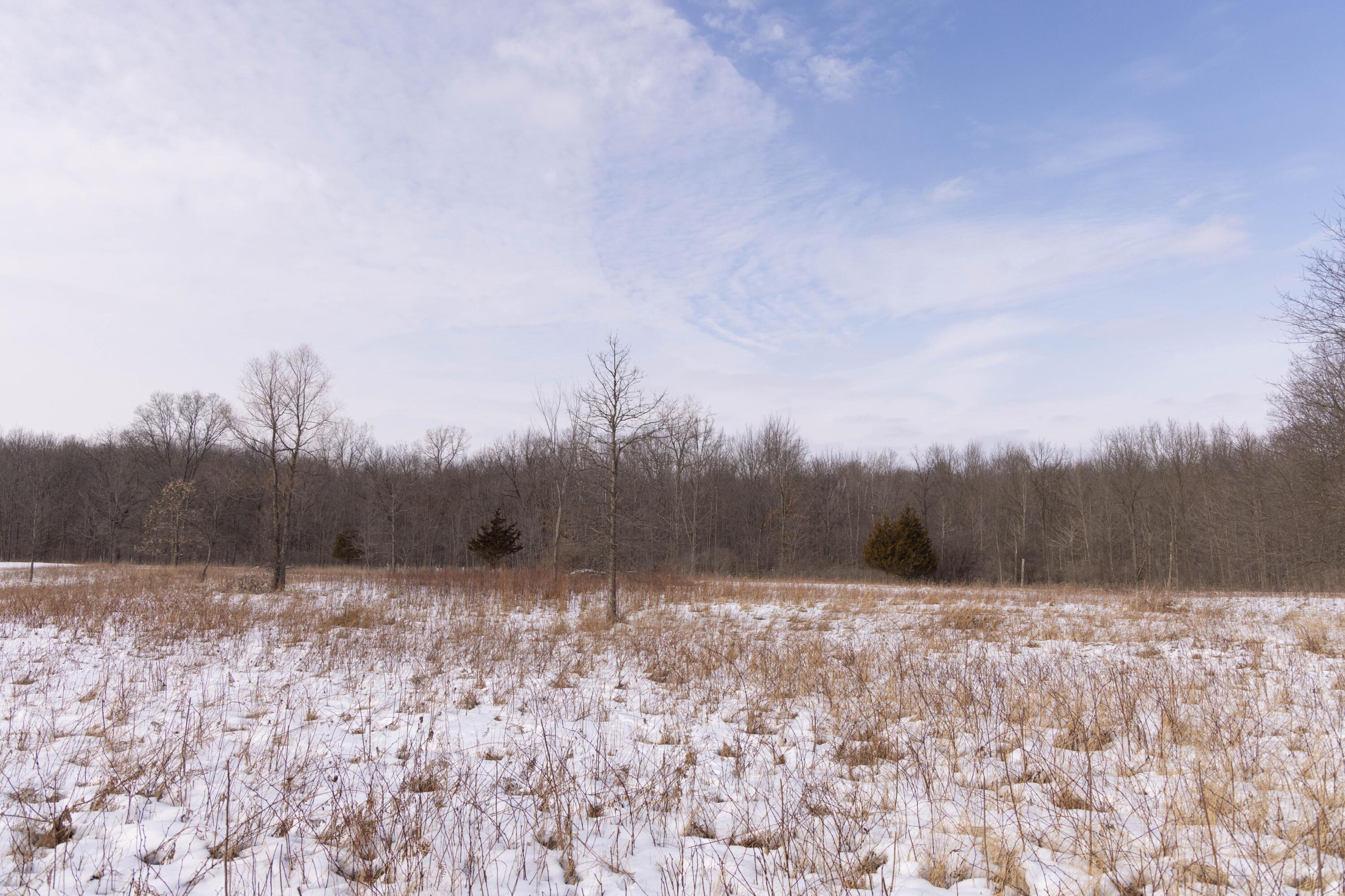 V/l West Allen Road Fowlerville, MI 48836 - Photo 39 of 56 37