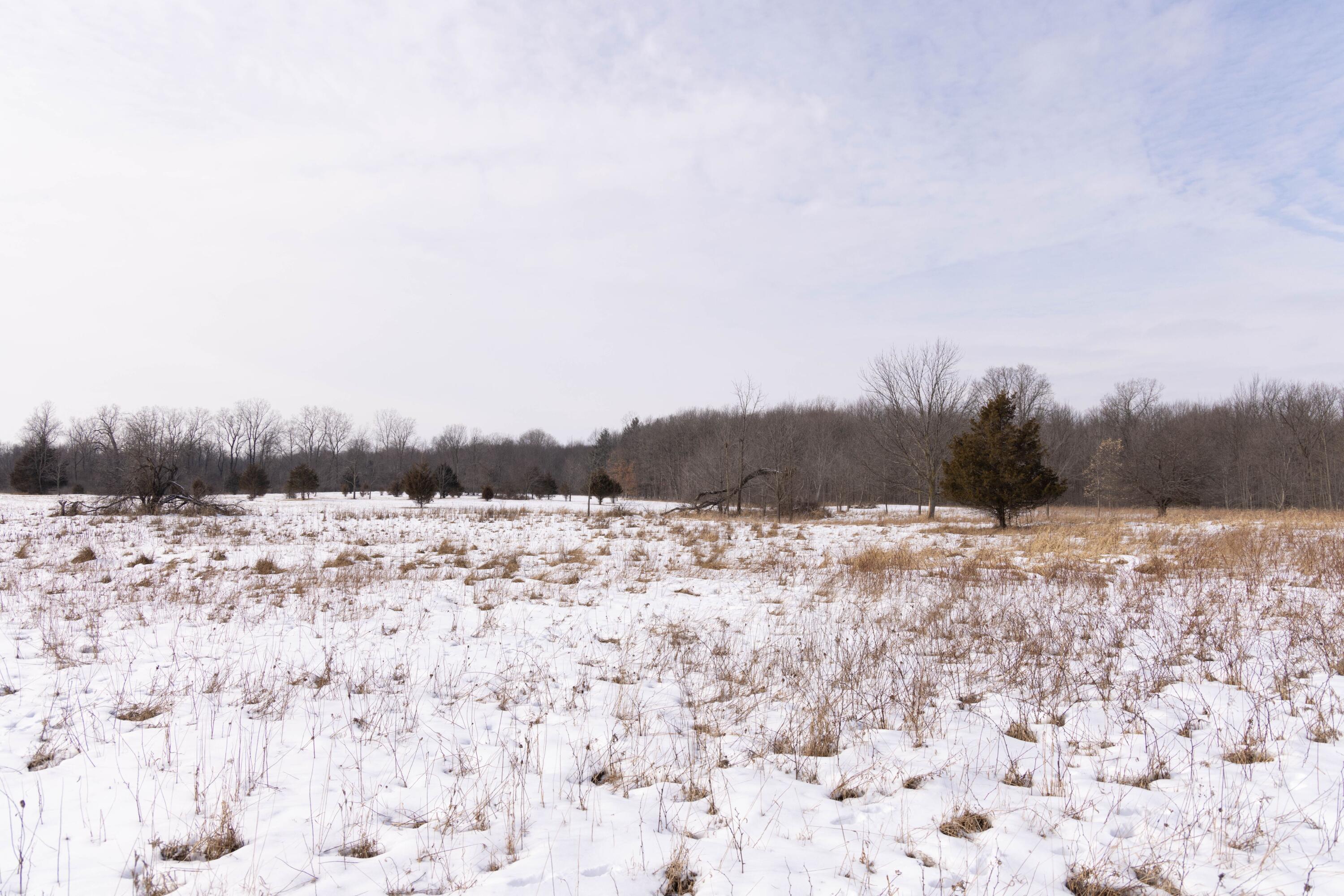 V/l West Allen Road Fowlerville, MI 48836 - Photo 40 of 56 38