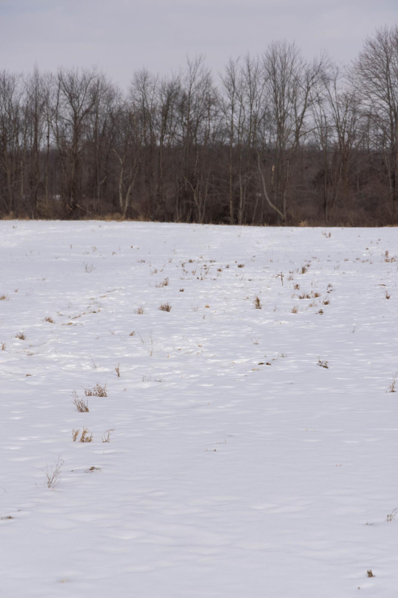 V/l West Allen Road Fowlerville, MI 48836 - Photo 4 of 56 2