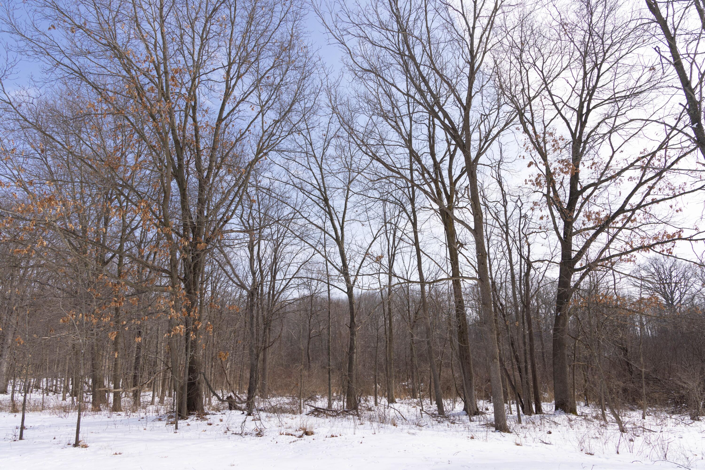 V/l West Allen Road Fowlerville, MI 48836 - Photo 41 of 56 39