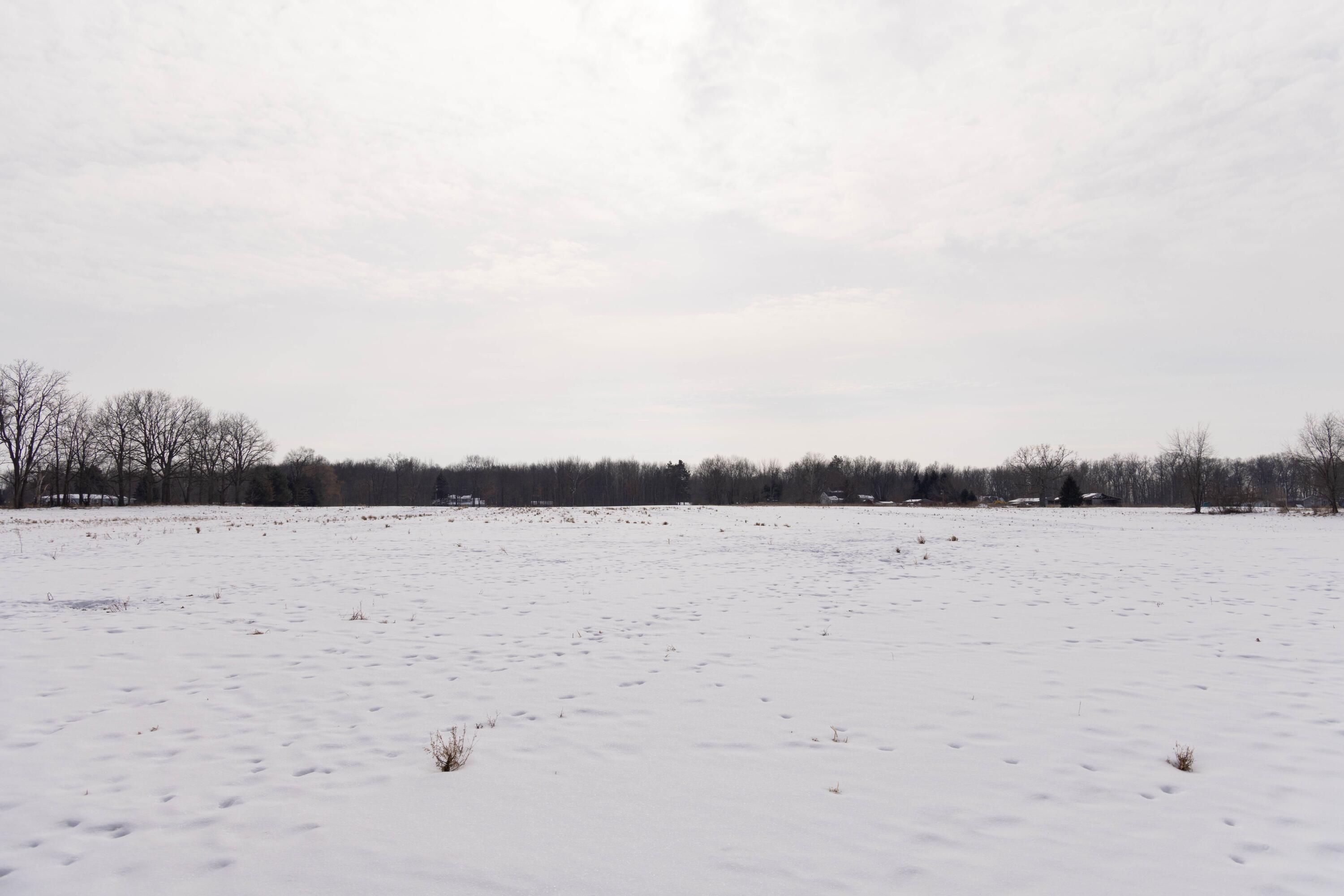 V/l West Allen Road Fowlerville, MI 48836 - Photo 42 of 56 40