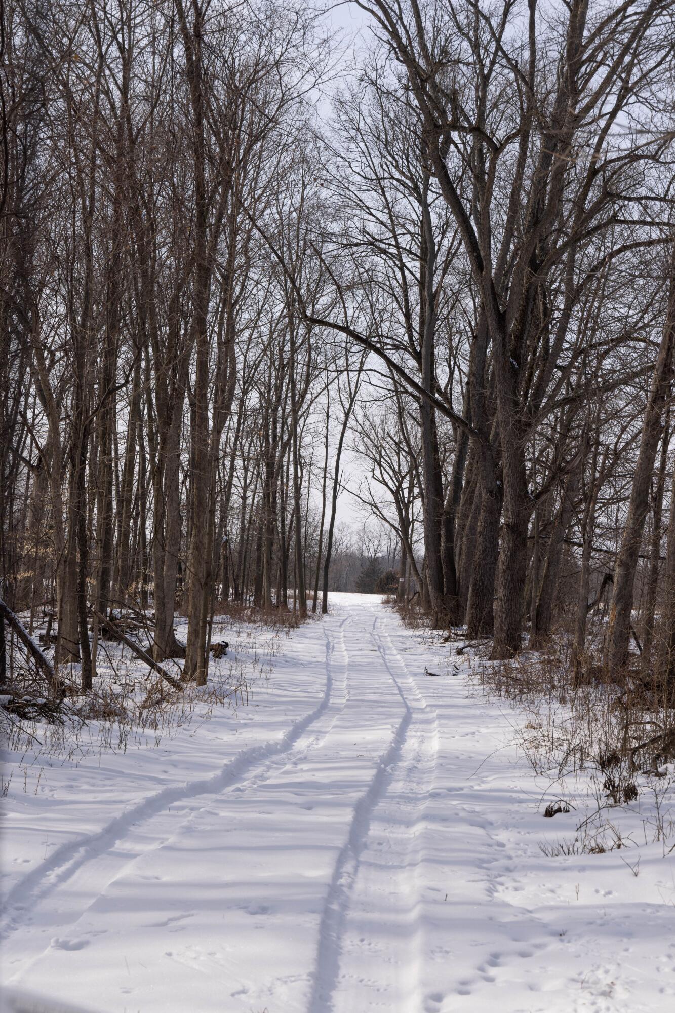 V/l West Allen Road Fowlerville, MI 48836 - Photo 44 of 56 42