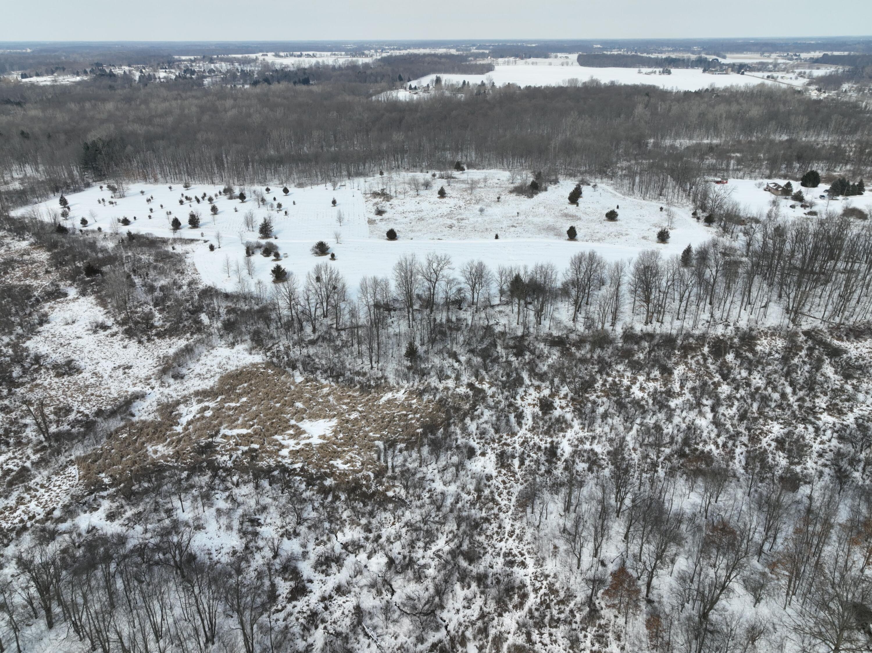 V/l West Allen Road Fowlerville, MI 48836 - Photo 45 of 56 42a